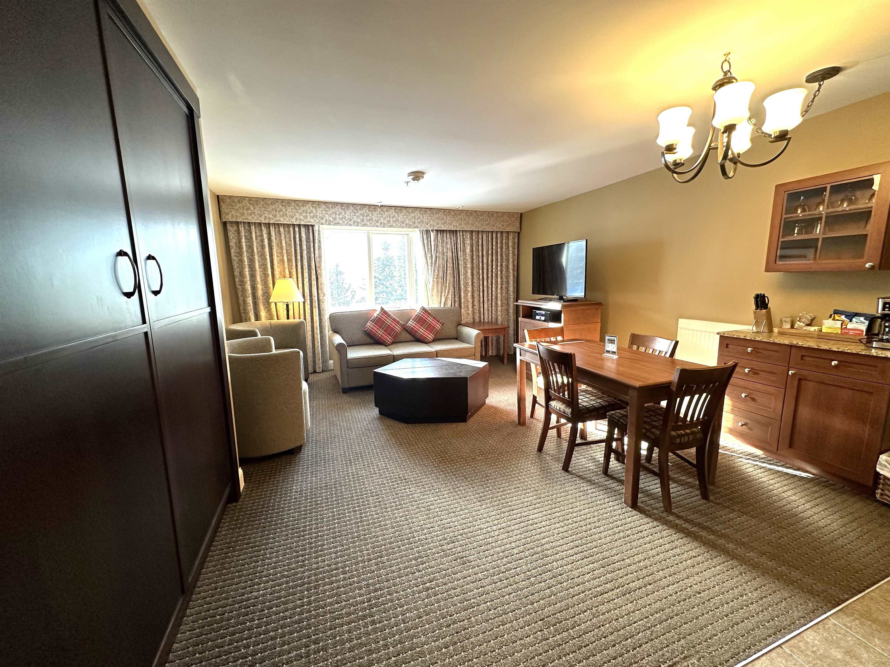 Murphy bed and pullout couch