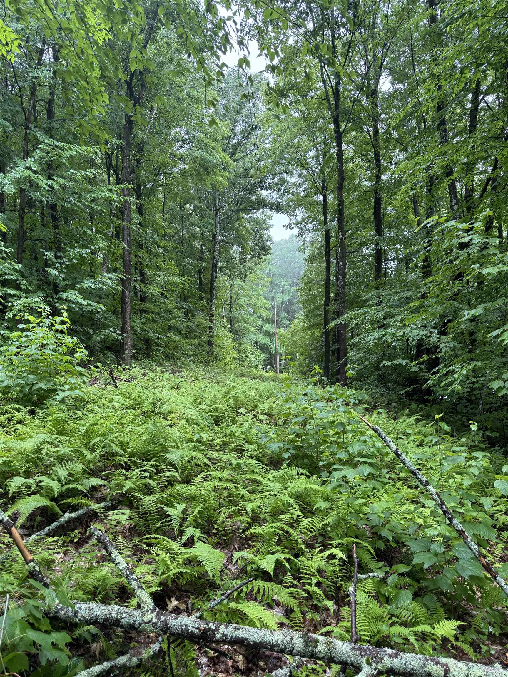 Photo 3 of Land for sale at 0 Grapevine Ln, Pownal, VT 05261 | MLS# 5109674 | Listing updated on 2026-09-15