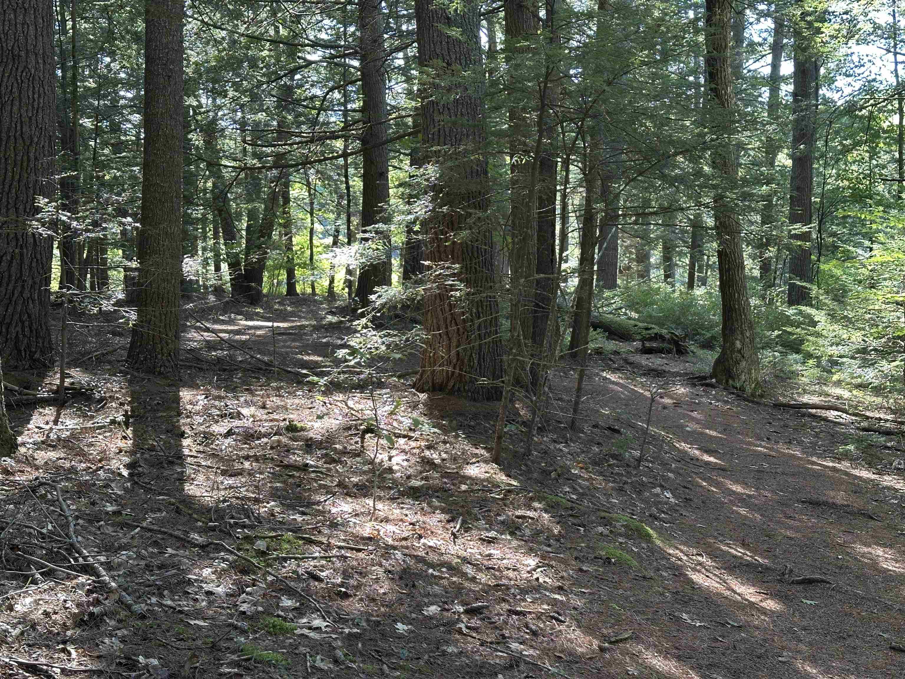 39 Monadnock Road, Rindge, NH photo 4