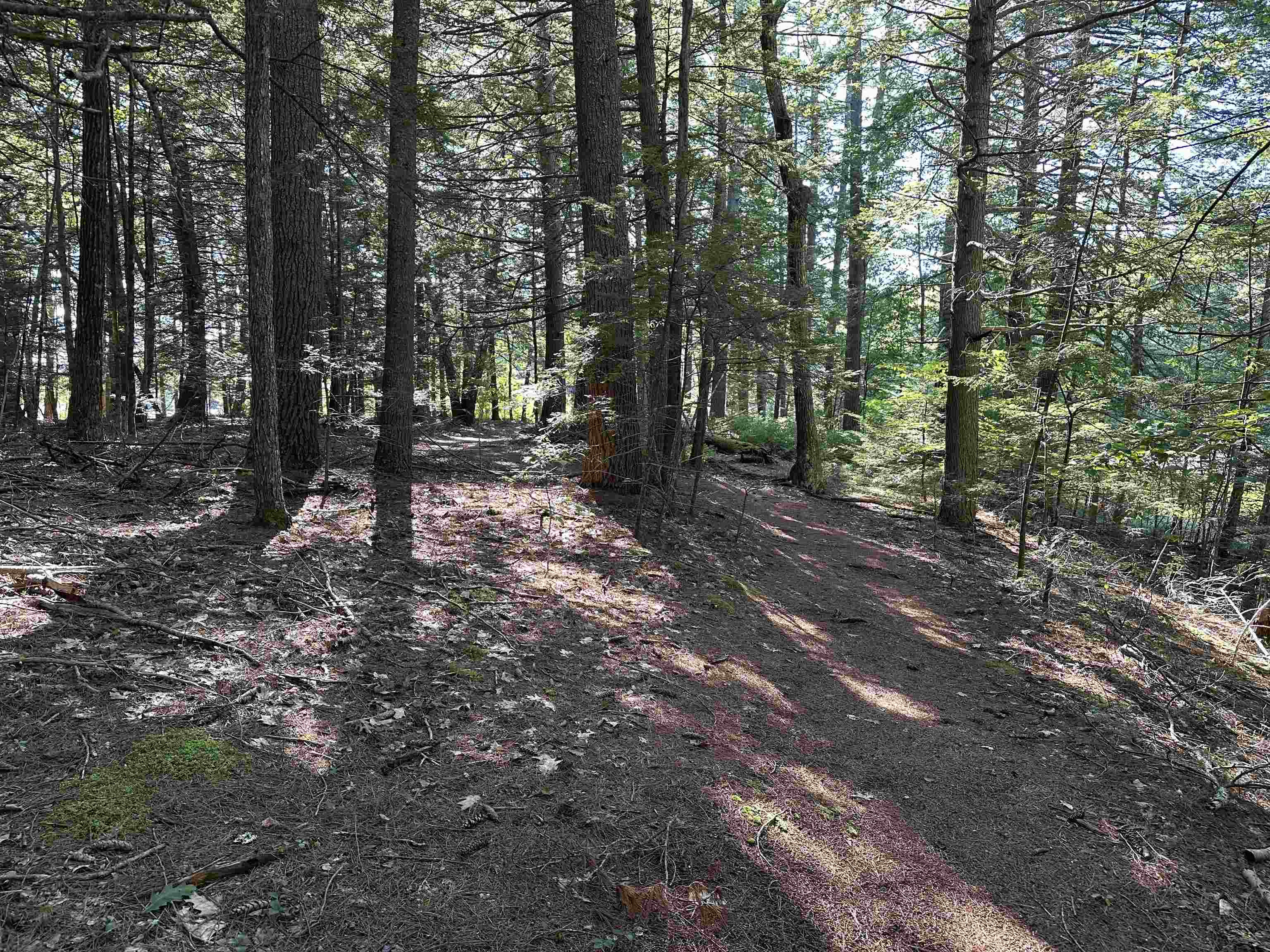 39 Monadnock Road, Rindge, NH photo 5