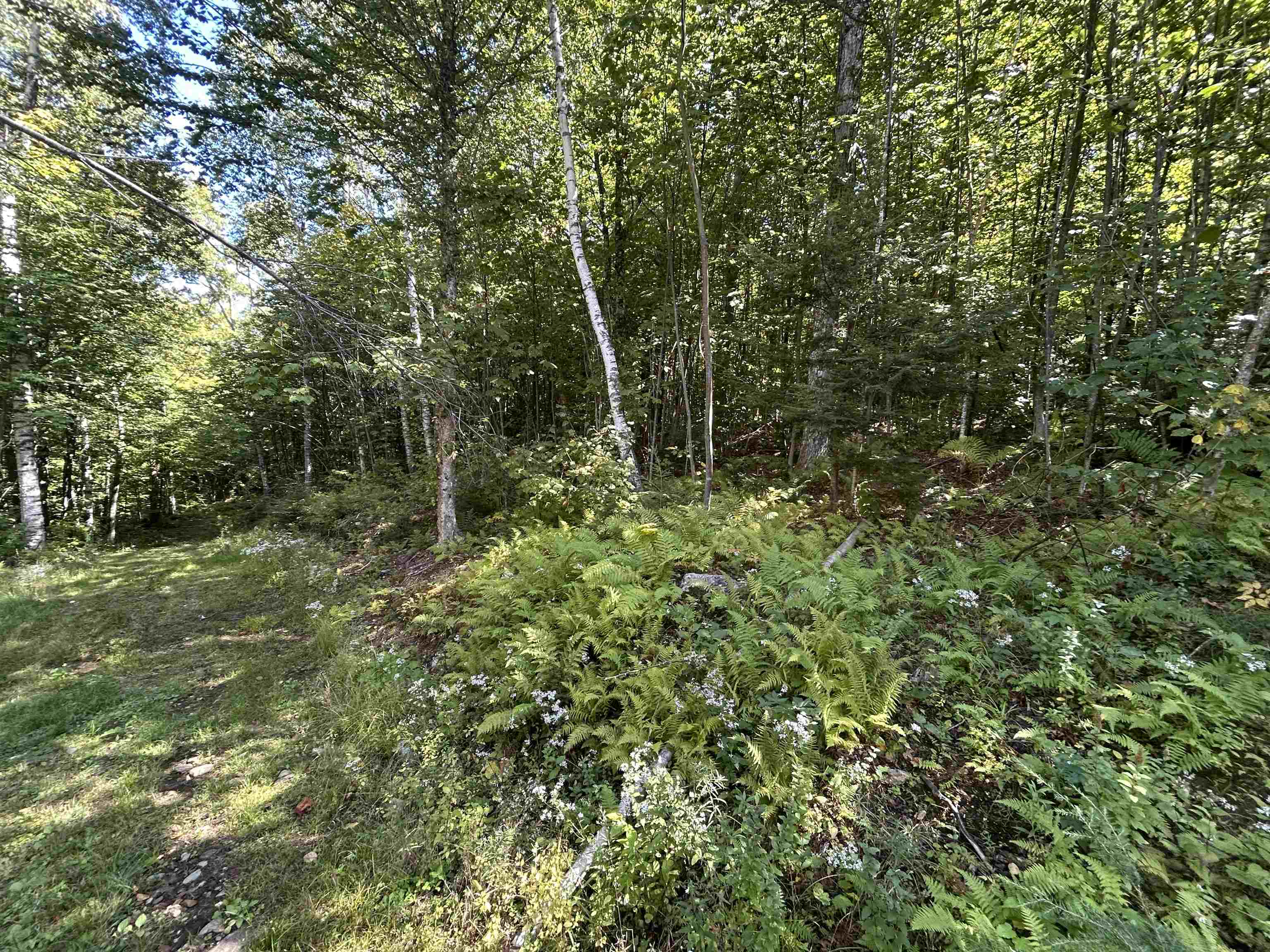 Photo 3 of Land for sale at 0 West Hl Rd, Jamaica, VT 05343 | MLS# 5109880 | Listing updated on 2026-09-17