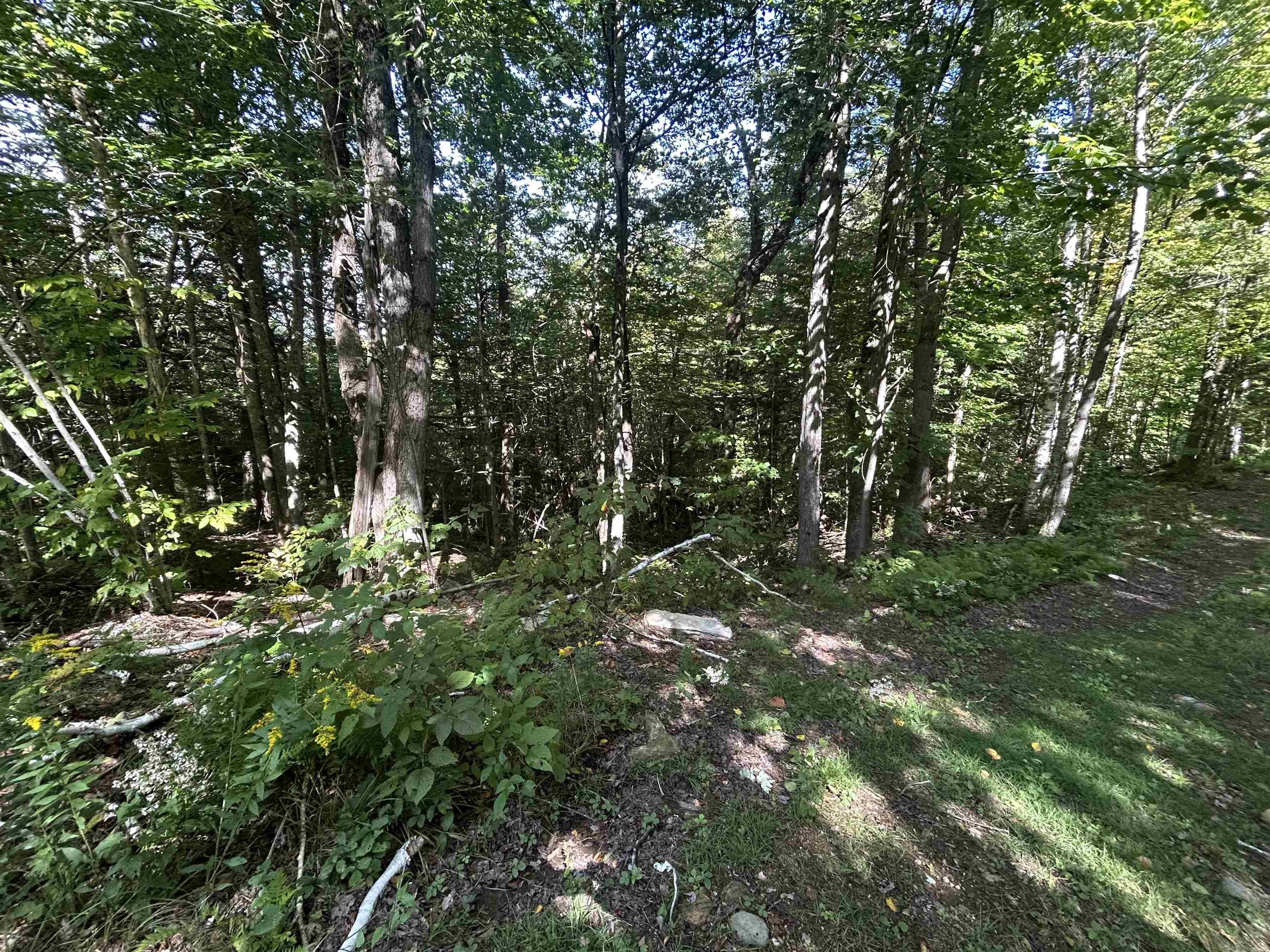 Photo 4 of Land for sale at 0 West Hl Rd, Jamaica, VT 05343 | MLS# 5109880 | Listing updated on 2026-09-17