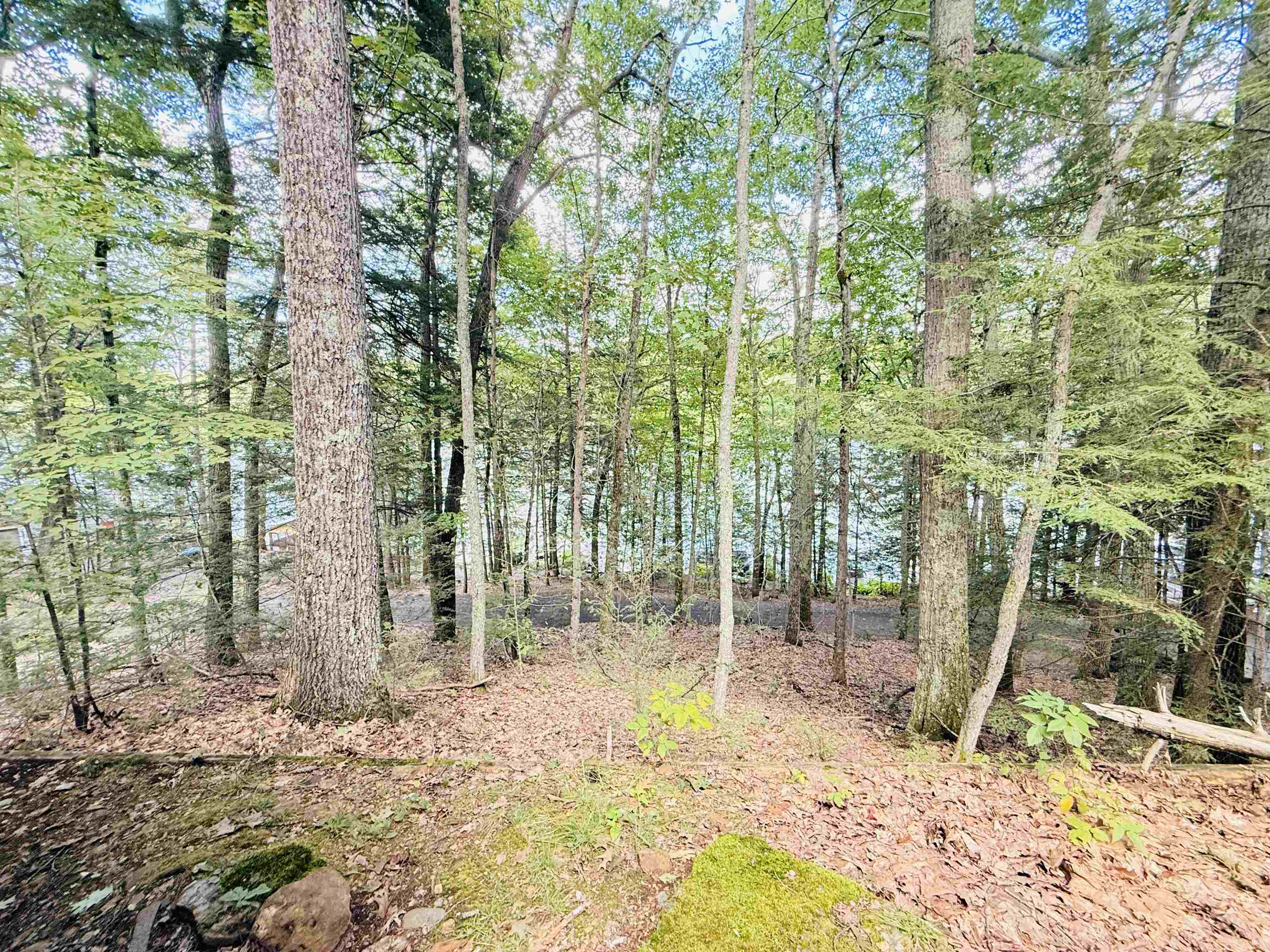 11 Kimball Street, Northwood, NH photo 5