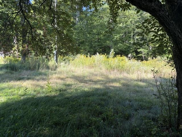 Photo 6 of 12