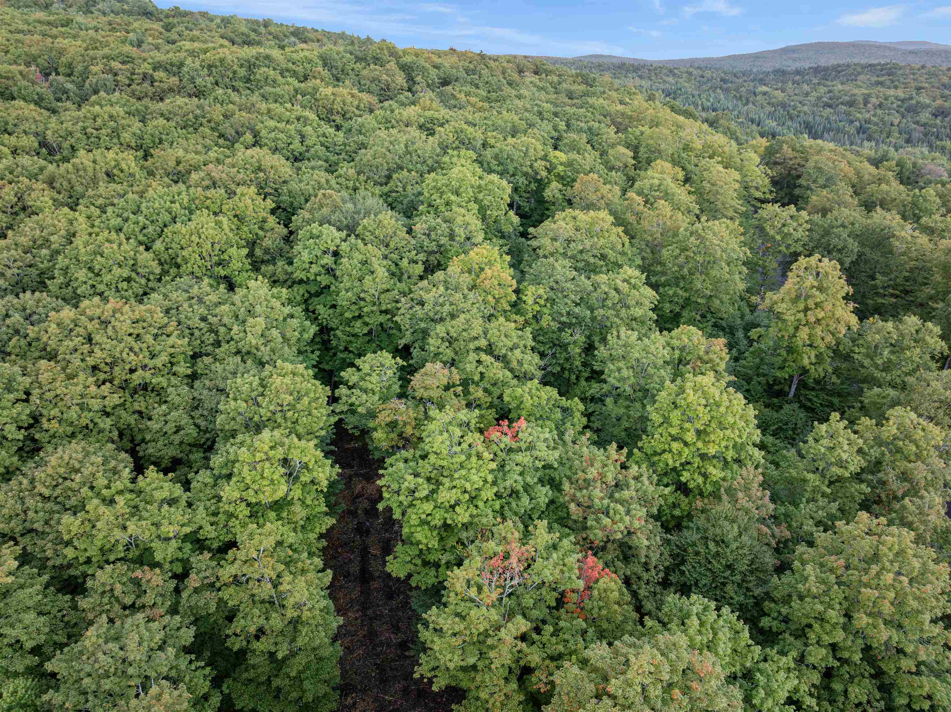 Photo 4 of Land for sale at Lot 9 Wood Yard Trl, Pittsburg, NH 03592 | MLS# 5110040 | Listing updated on 2026-09-17