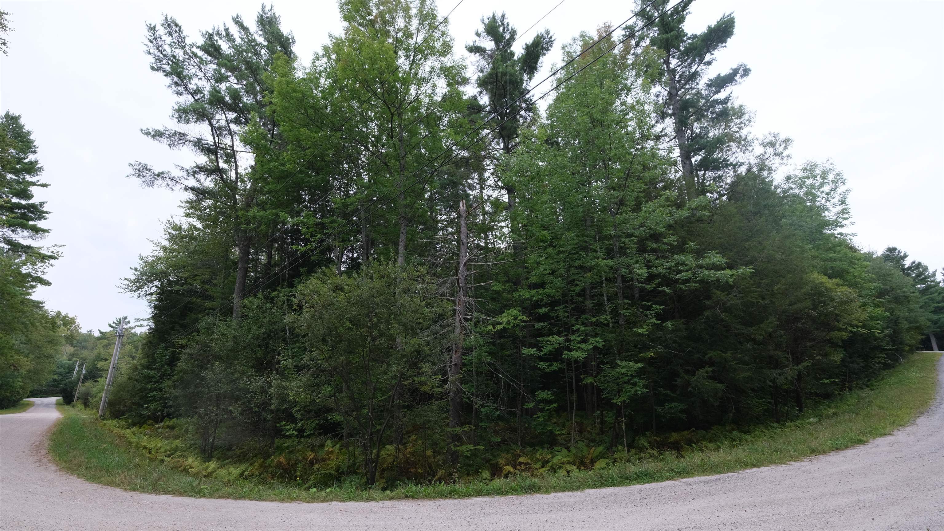 Photo 3 of Land for sale at 0 Bear Ridge Rd, Ludlow, VT 05149 | MLS# 5110052 | Listing updated on 2026-09-16