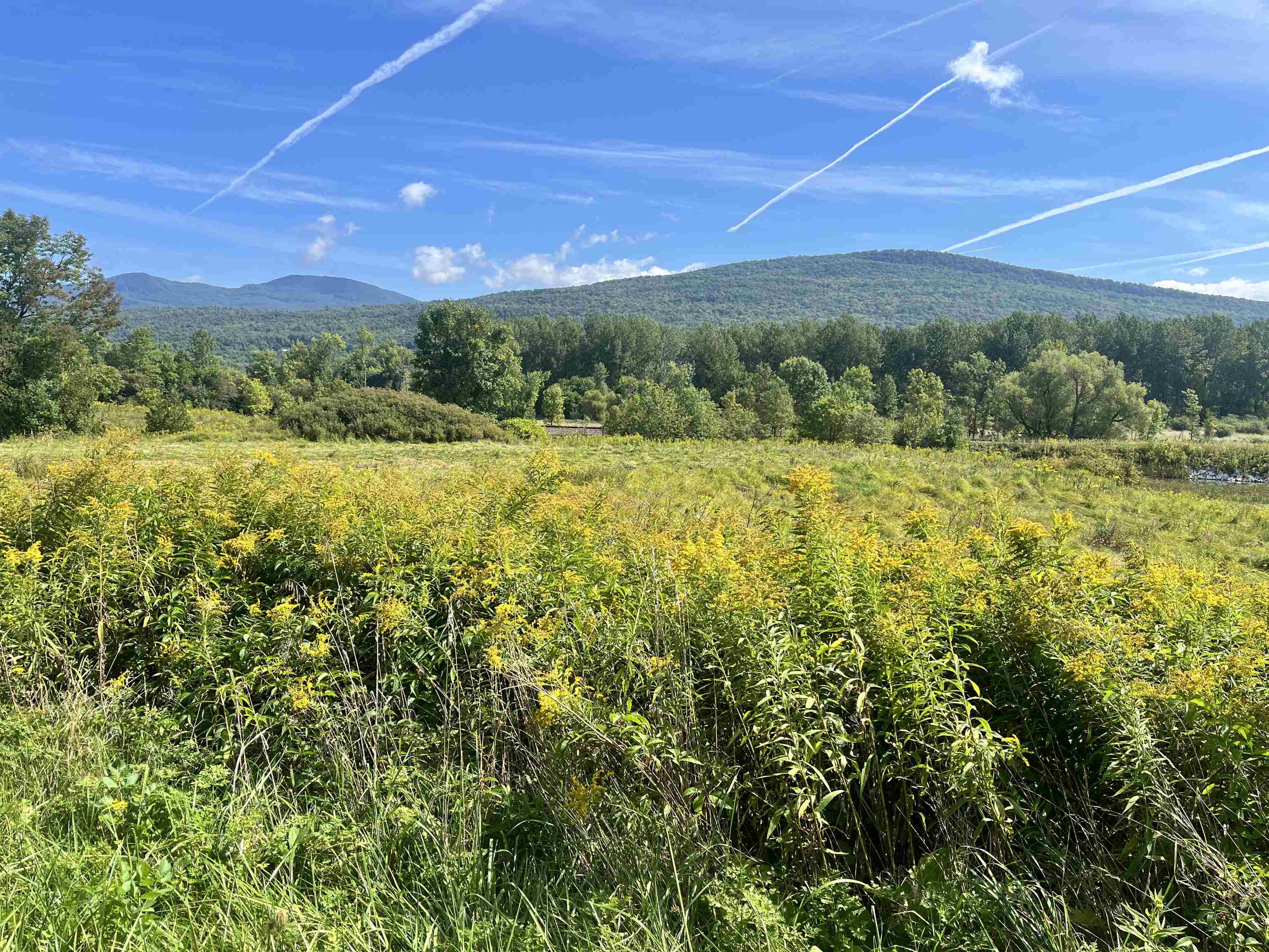 Photo 3 of Land for sale at 3210 West Crk Rd, Brandon, VT 05733 | MLS# 5110096 | Listing updated on 2026-09-17