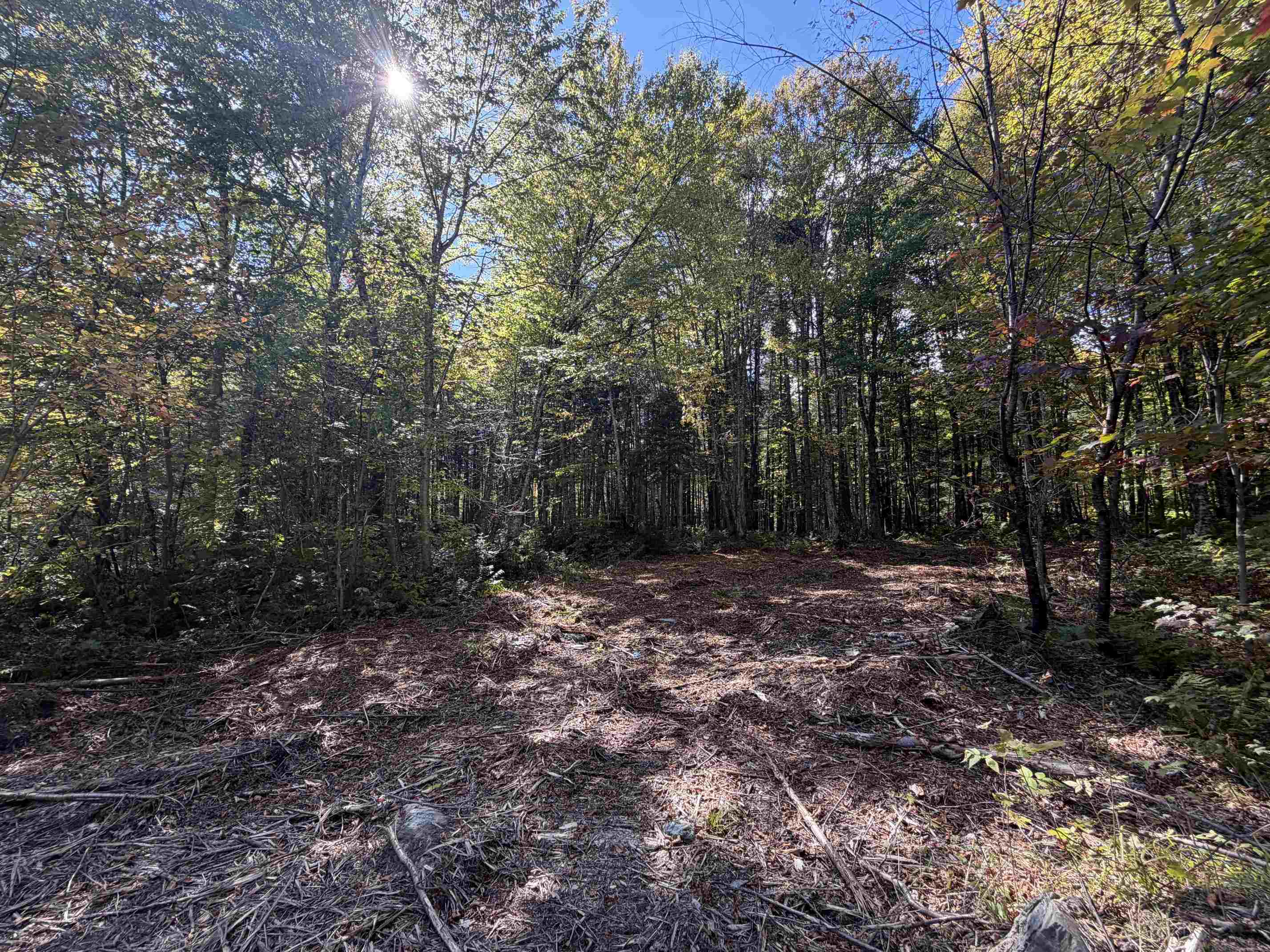 Photo 2 of Land for sale at Lot 10 Wood Yard Trl, Pittsburg, NH 03592 | MLS# 5110117 | Listing updated on 2026-10-06