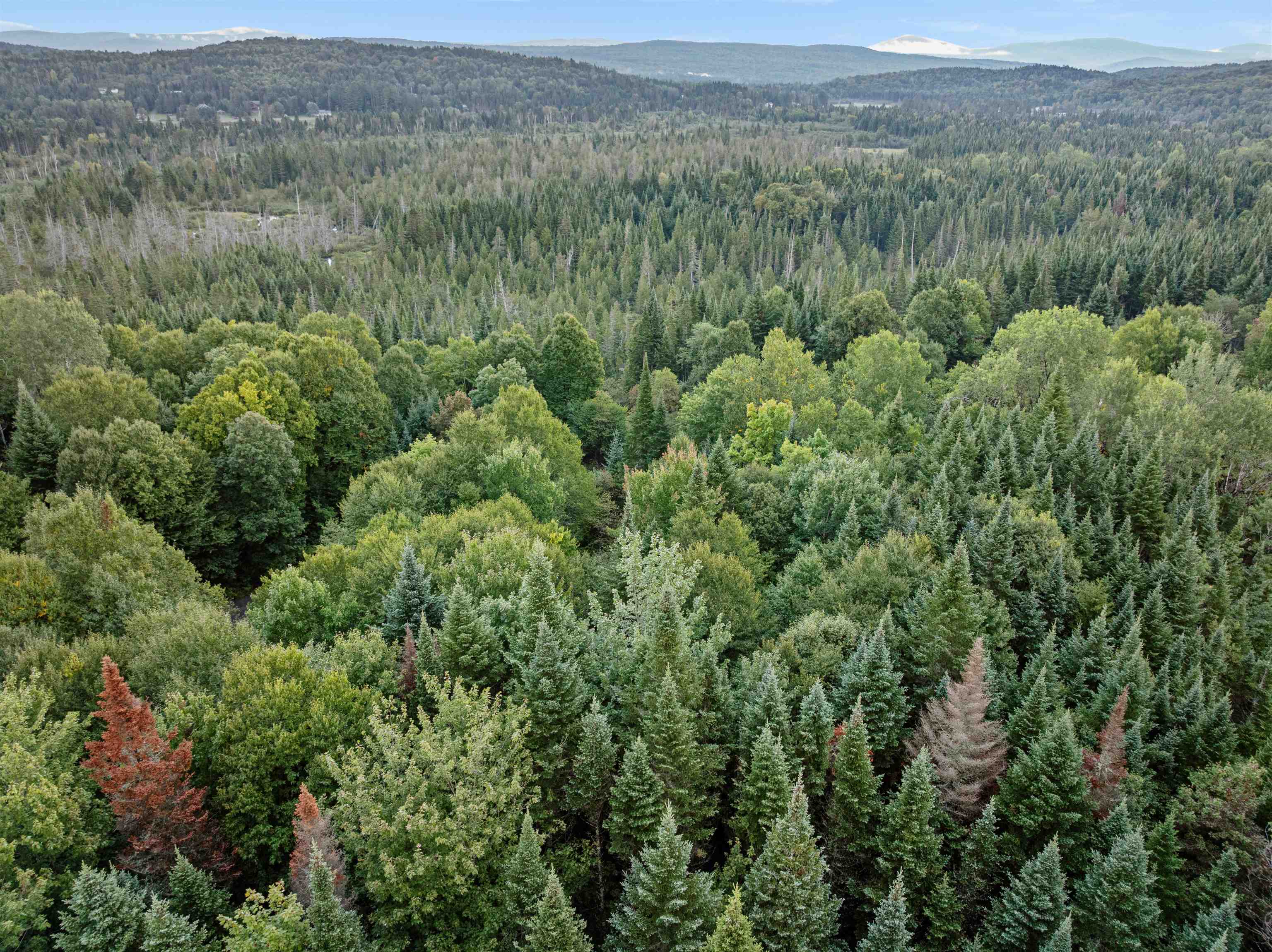 Photo 3 of Land for sale at Lot 10 Wood Yard Trl, Pittsburg, NH 03592 | MLS# 5110117 | Listing updated on 2026-09-17