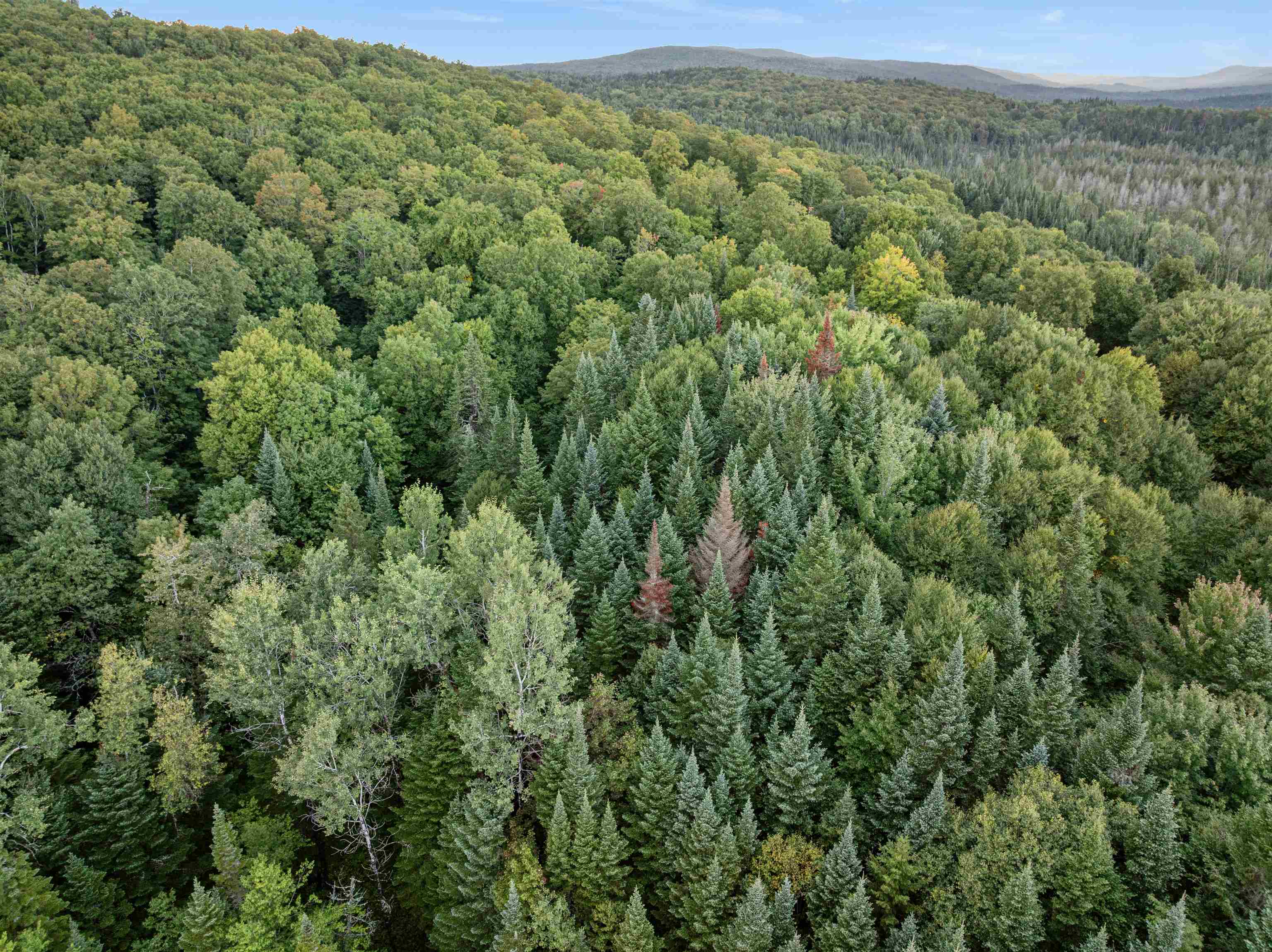 Photo 3 of Land for sale at Lot 10 Wood Yard Trl, Pittsburg, NH 03592 | MLS# 5110117 | Listing updated on 2026-09-17