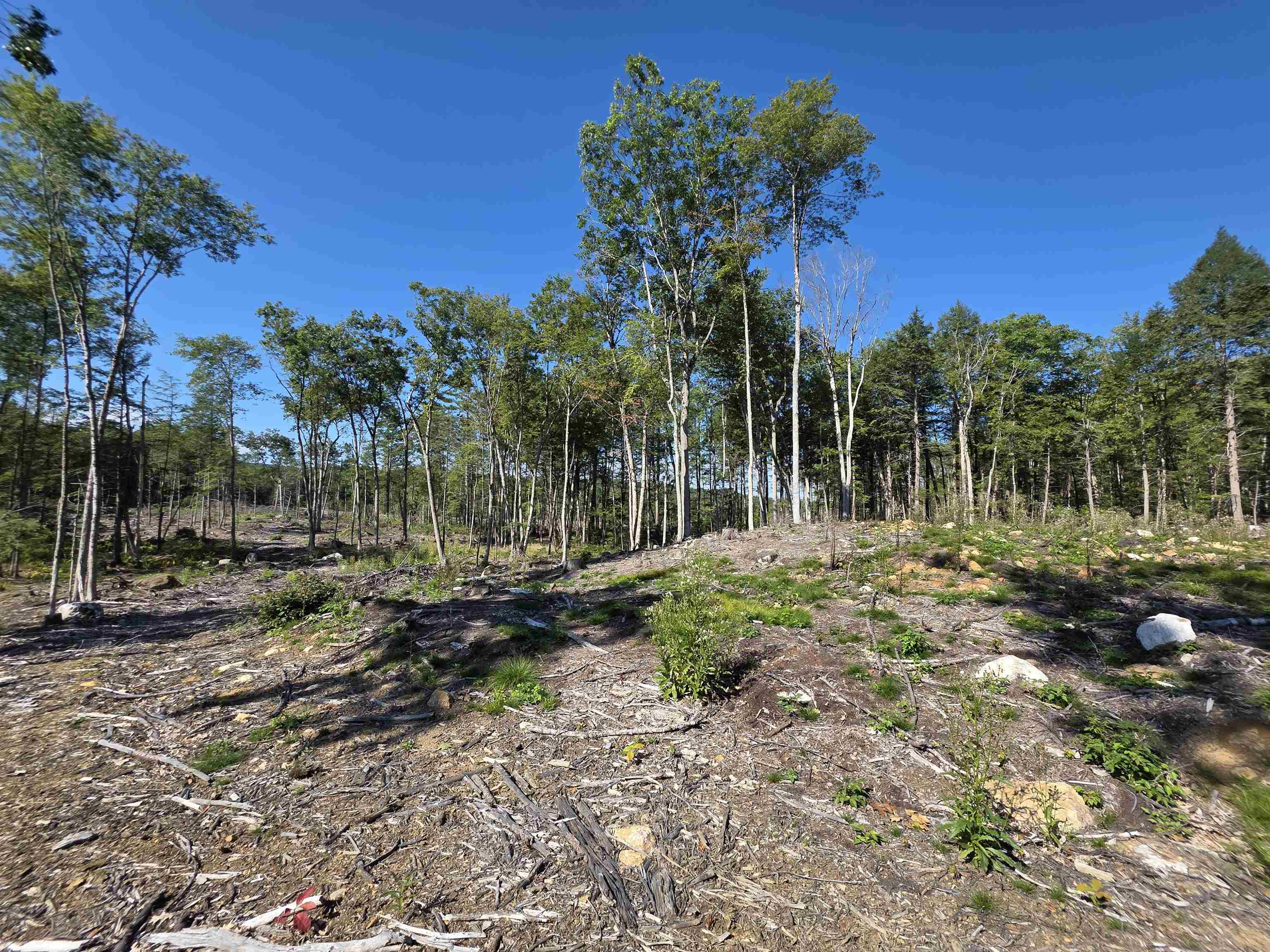 Photo 4 of Land for sale at Shannon Rd, Gilmanton Iron Works, NH 03837 | MLS# 5110254 | Listing updated on 2026-09-17