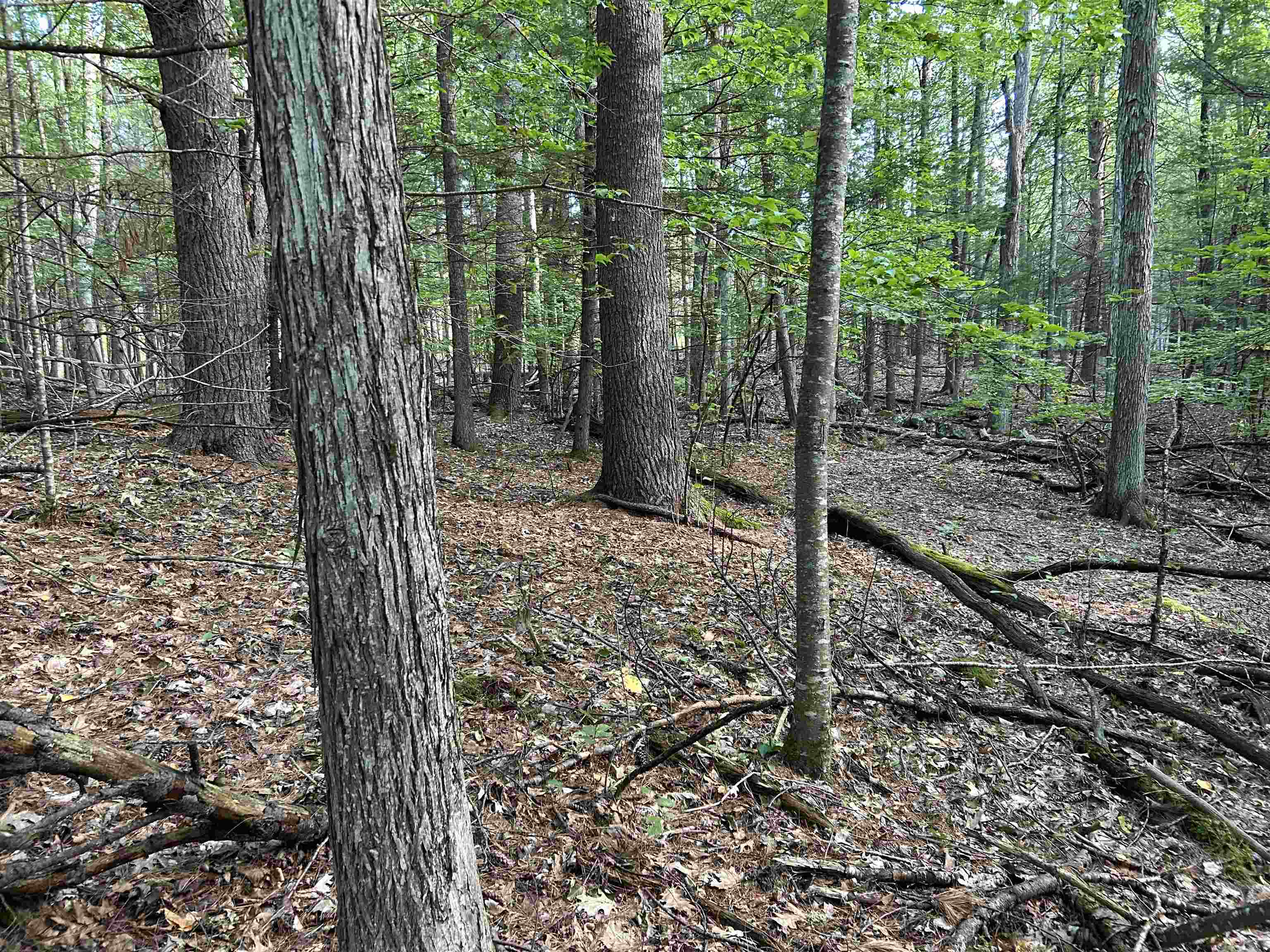 Photo 3 of Land for sale at 65 Case Rd, Nottingham, NH 03290 | MLS# 5110265 | Listing updated on 2026-09-17