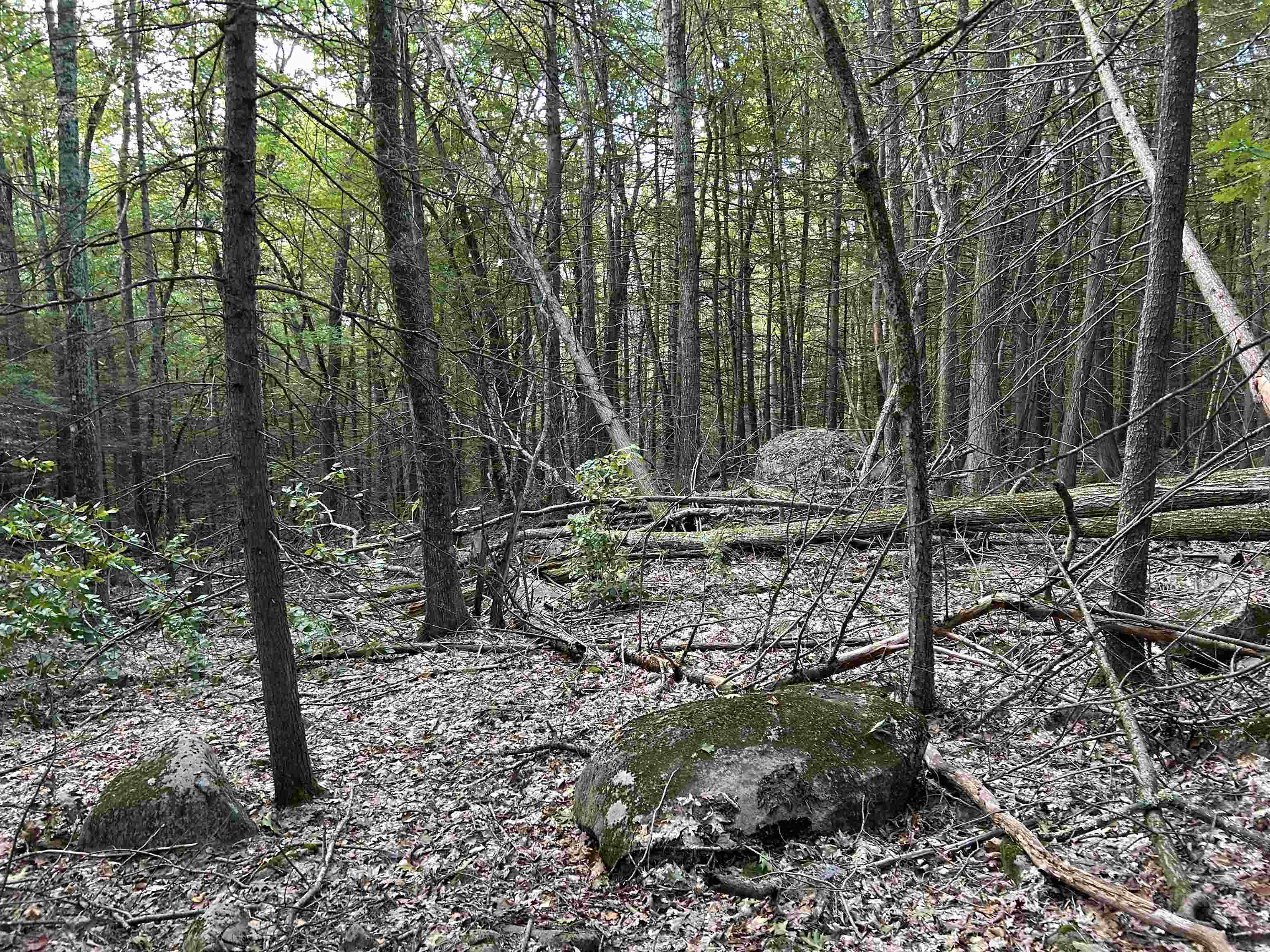 Photo 4 of Land for sale at 65 Case Rd, Nottingham, NH 03290 | MLS# 5110265 | Listing updated on 2026-09-17