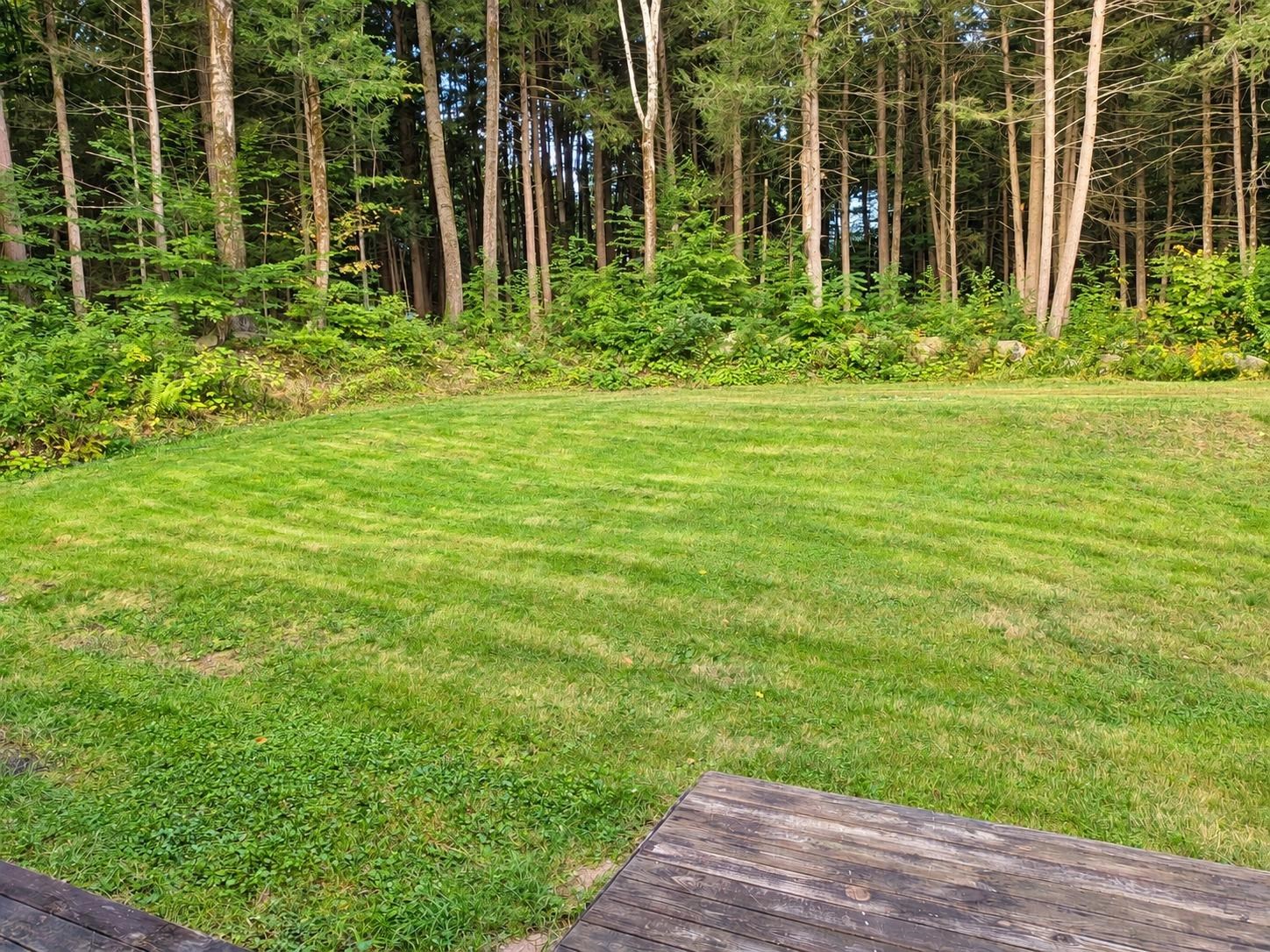Photo 1 of Single family home for sale at 21 Morningside Ln, Swanzey, NH 03446 | MLS# 5110313 | Listing updated on 2026-09-18