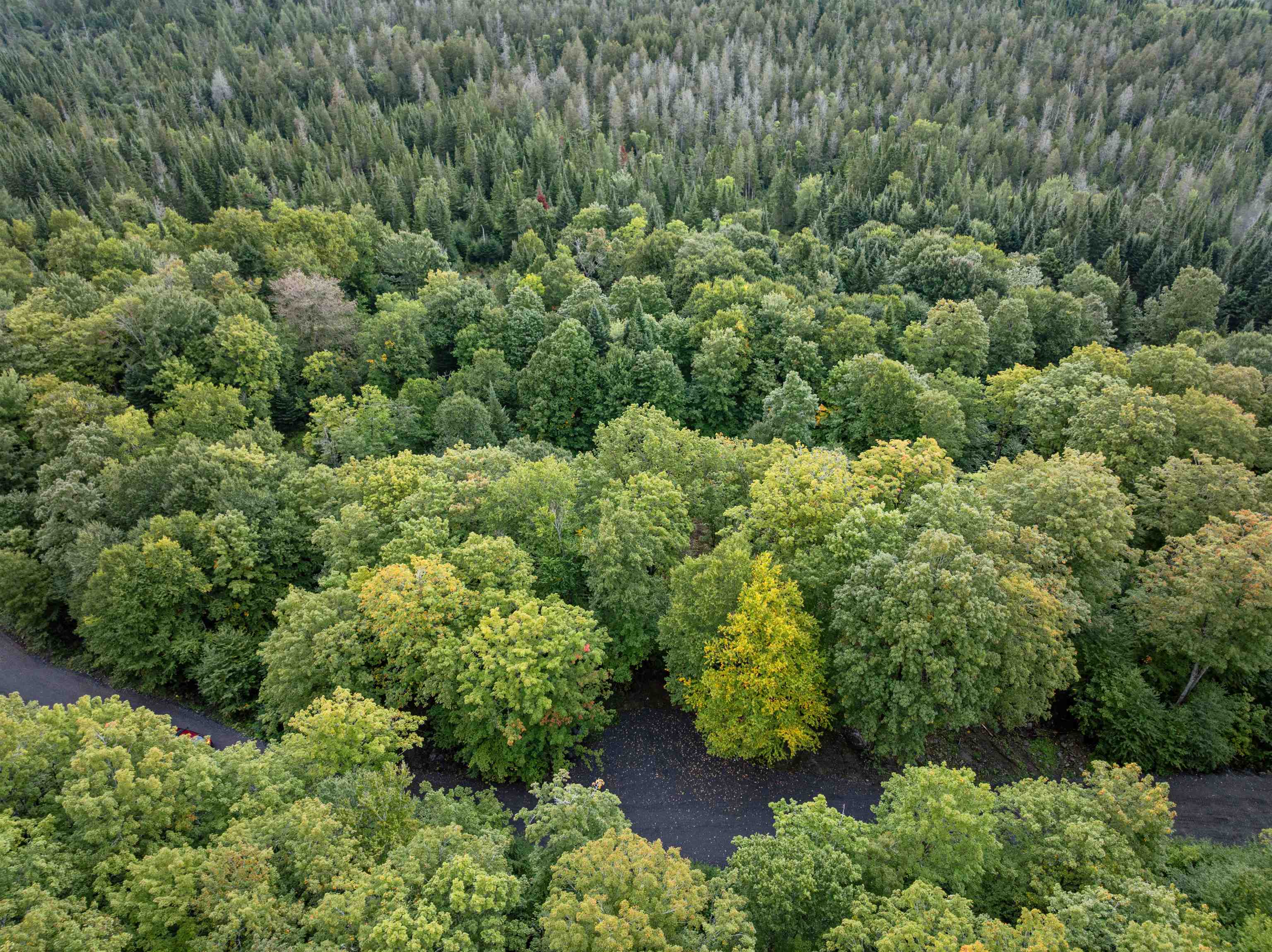 Photo 3 of Land for sale at Lot 8 Back Lake Xing, Pittsburg, NH 03592 | MLS# 5110332 | Listing updated on 2026-09-17