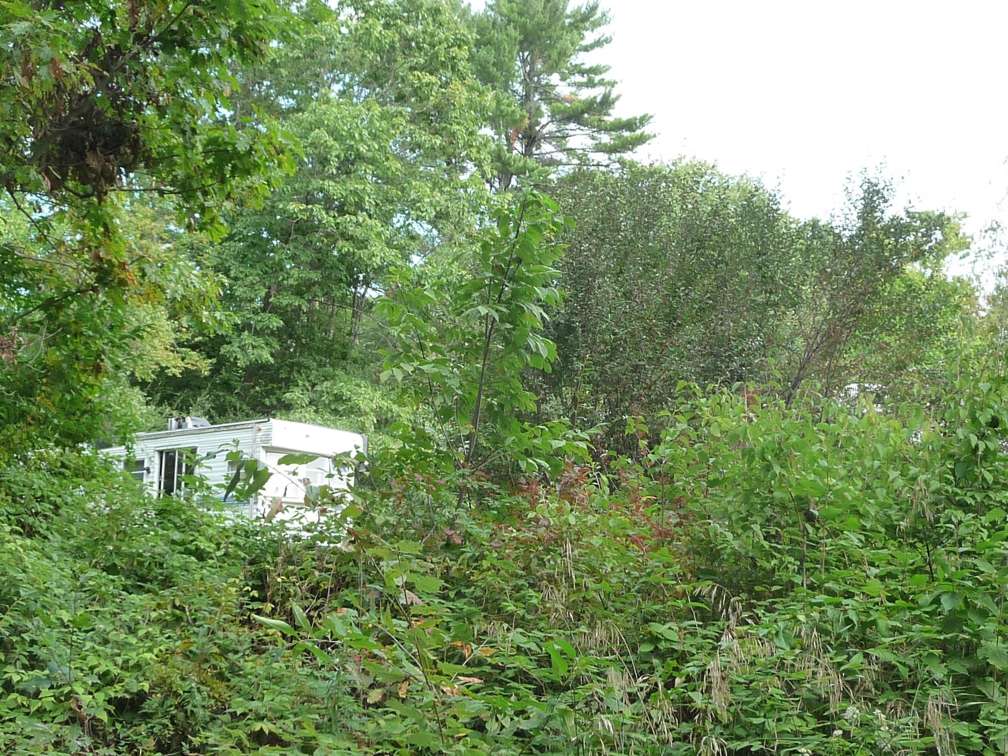 Photo 2 of Land for sale at North Rd, Deering, NH 03244 | MLS# 5110364 | Listing updated on 2026-09-17