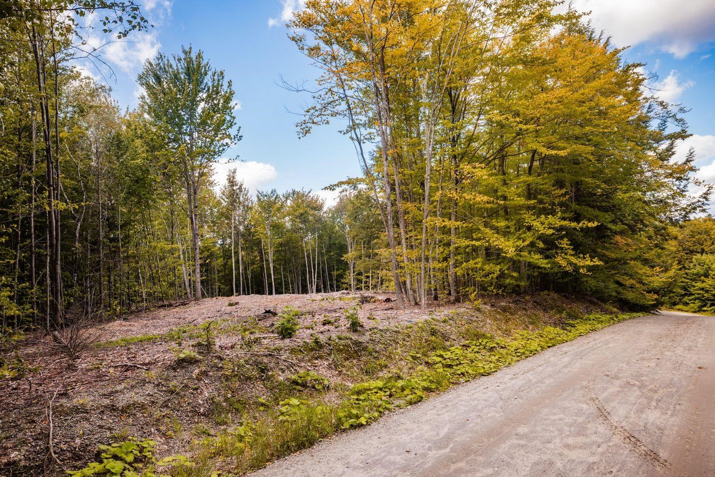 Photo 4 of Land for sale at 00 Brownsville Rd, Stowe, VT 05672 | MLS# 5110388 | Listing updated on 2026-09-17