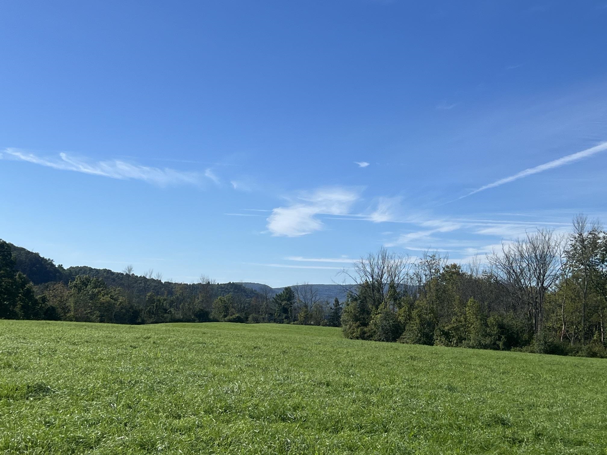 Photo 3 of Land for sale at 7998 Main Rd, Fair Haven, VT 05743 | MLS# 5110471 | Listing updated on 2026-09-18