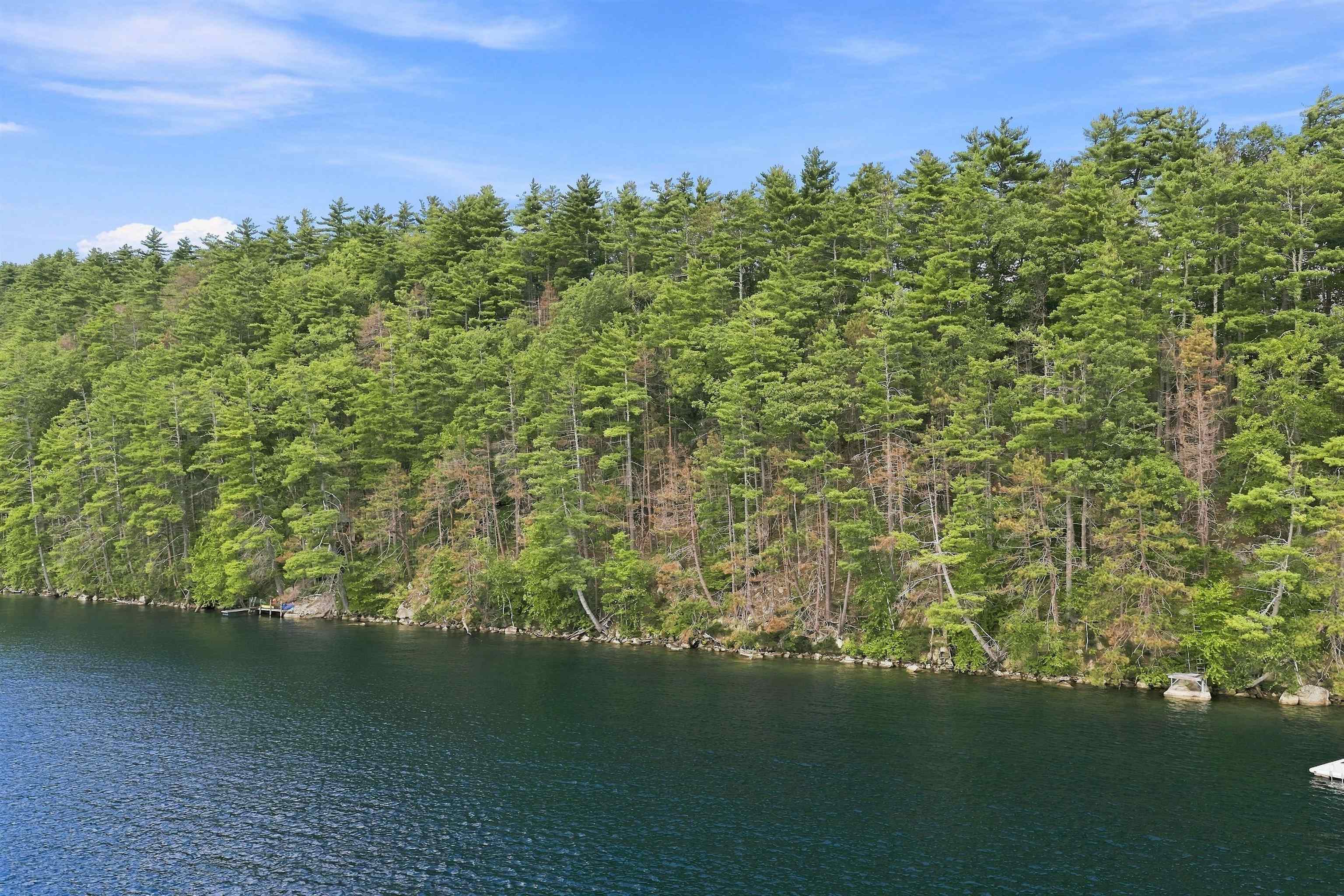 Photo 4 of Land for sale at Lot 51 Shore N Rd, New Durham, NH 03855 | MLS# 5110476 | Listing updated on 2026-09-19