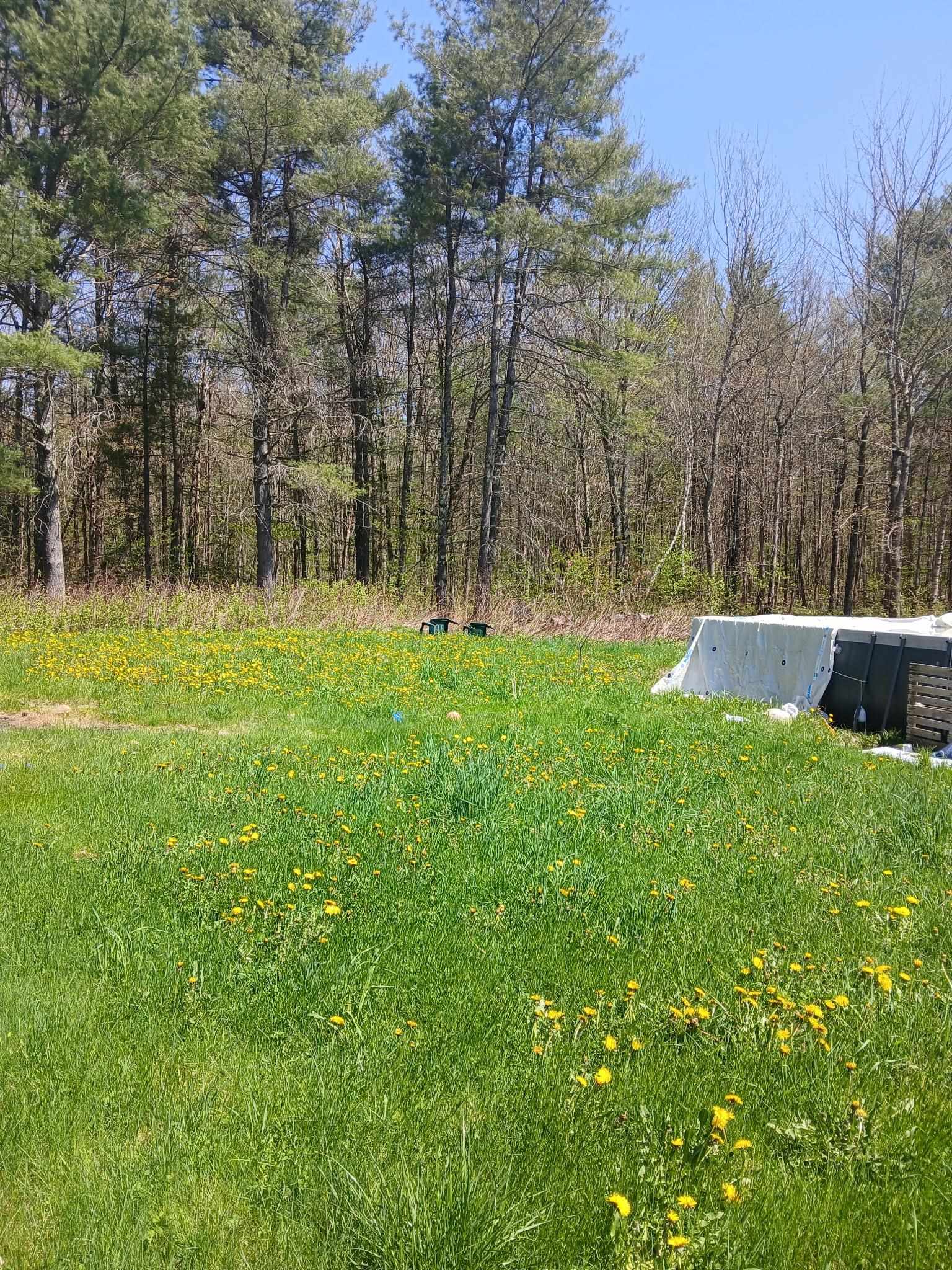 Photo 2 of Single family home for sale at 207 Marlow Hl Rd, Marlow, NH 03456 | MLS# 5110550 | Listing updated on 2026-09-18
