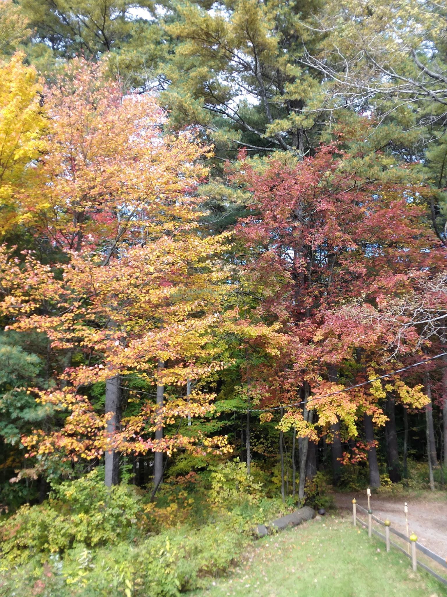 Photo 3 of Single family home for sale at 207 Marlow Hl Rd, Marlow, NH 03456 | MLS# 5110550 | Listing updated on 2026-09-18