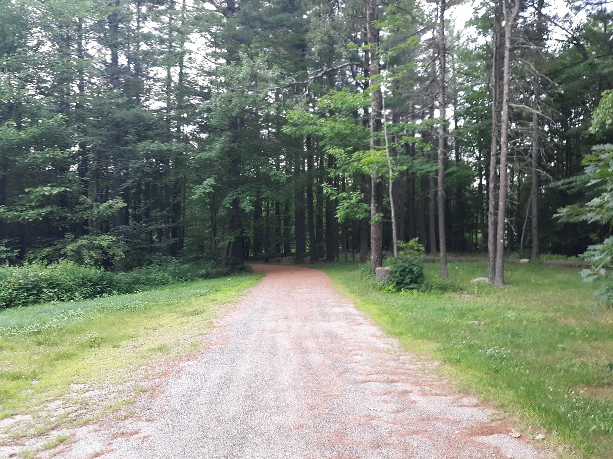 207 Marlow Hill Road, Marlow, NH photo 4