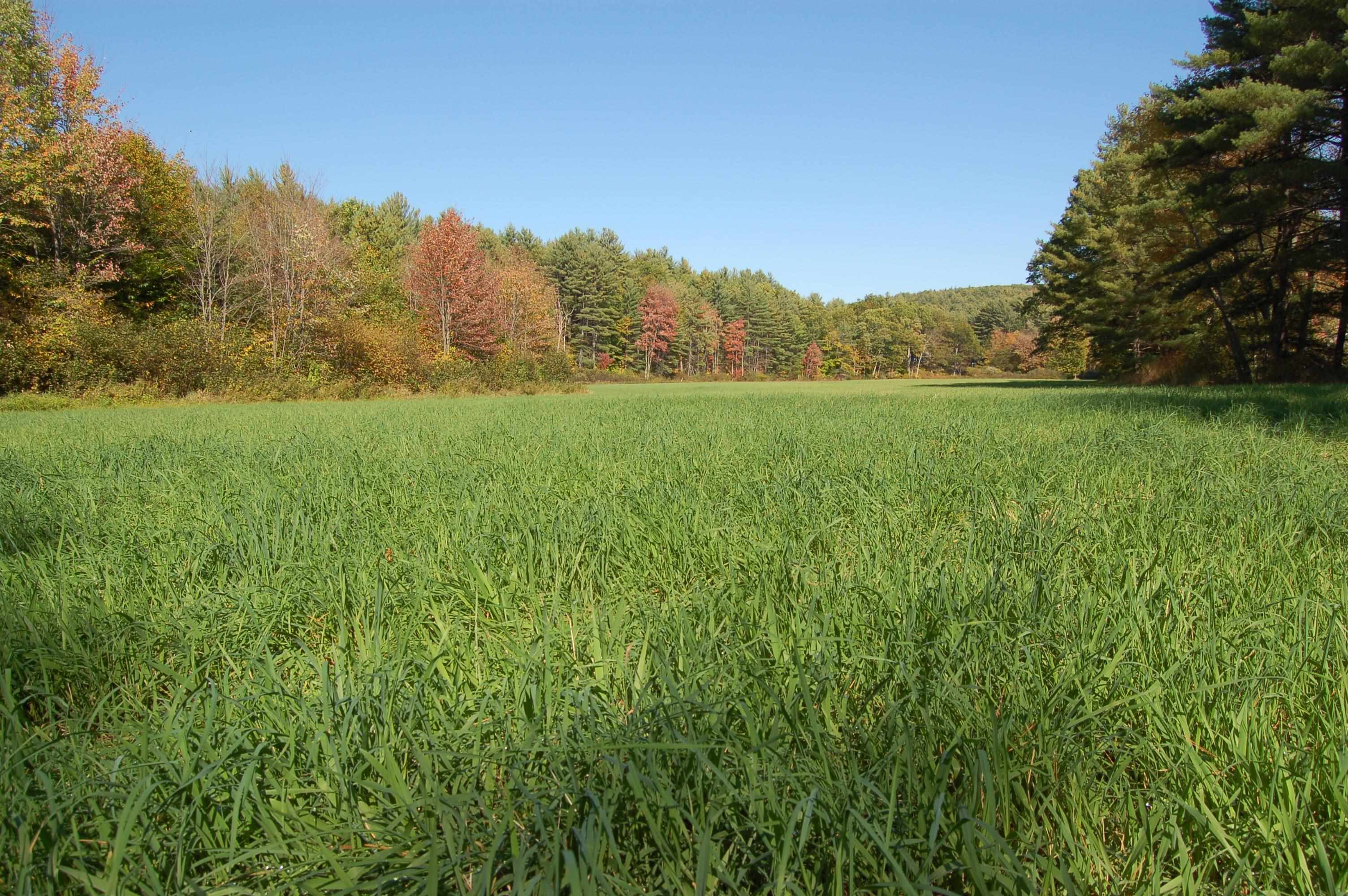 Photo 2 of Land for sale at 111 Browns Way, Henniker, NH 03242 | MLS# 5110605 | Listing updated on 2026-09-18