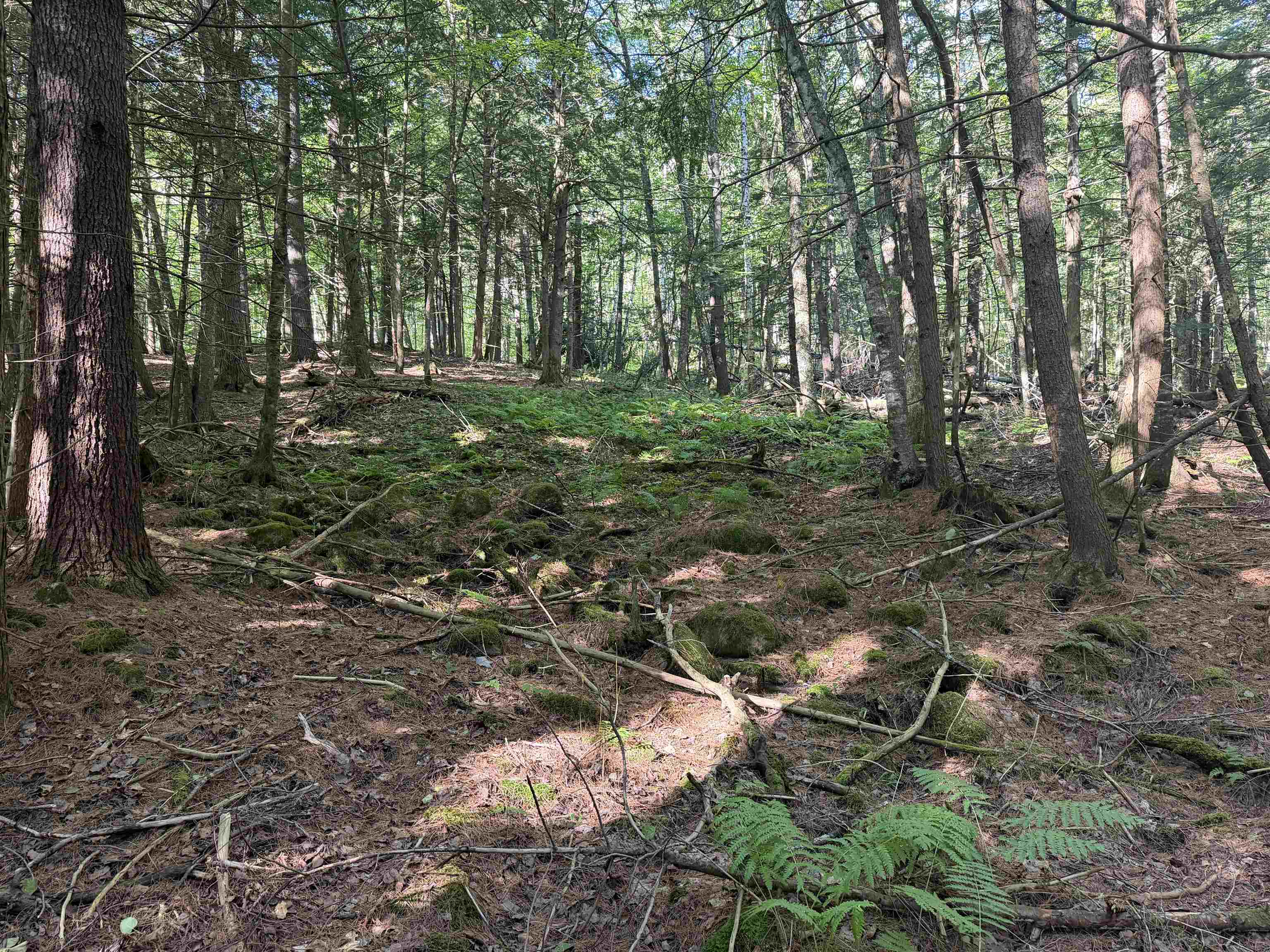 Photo 3 of Land for sale at 0 Storrs Hl Lot#3 Rd, Lebanon, NH 03766 | MLS# 5110642 | Listing updated on 2026-09-19