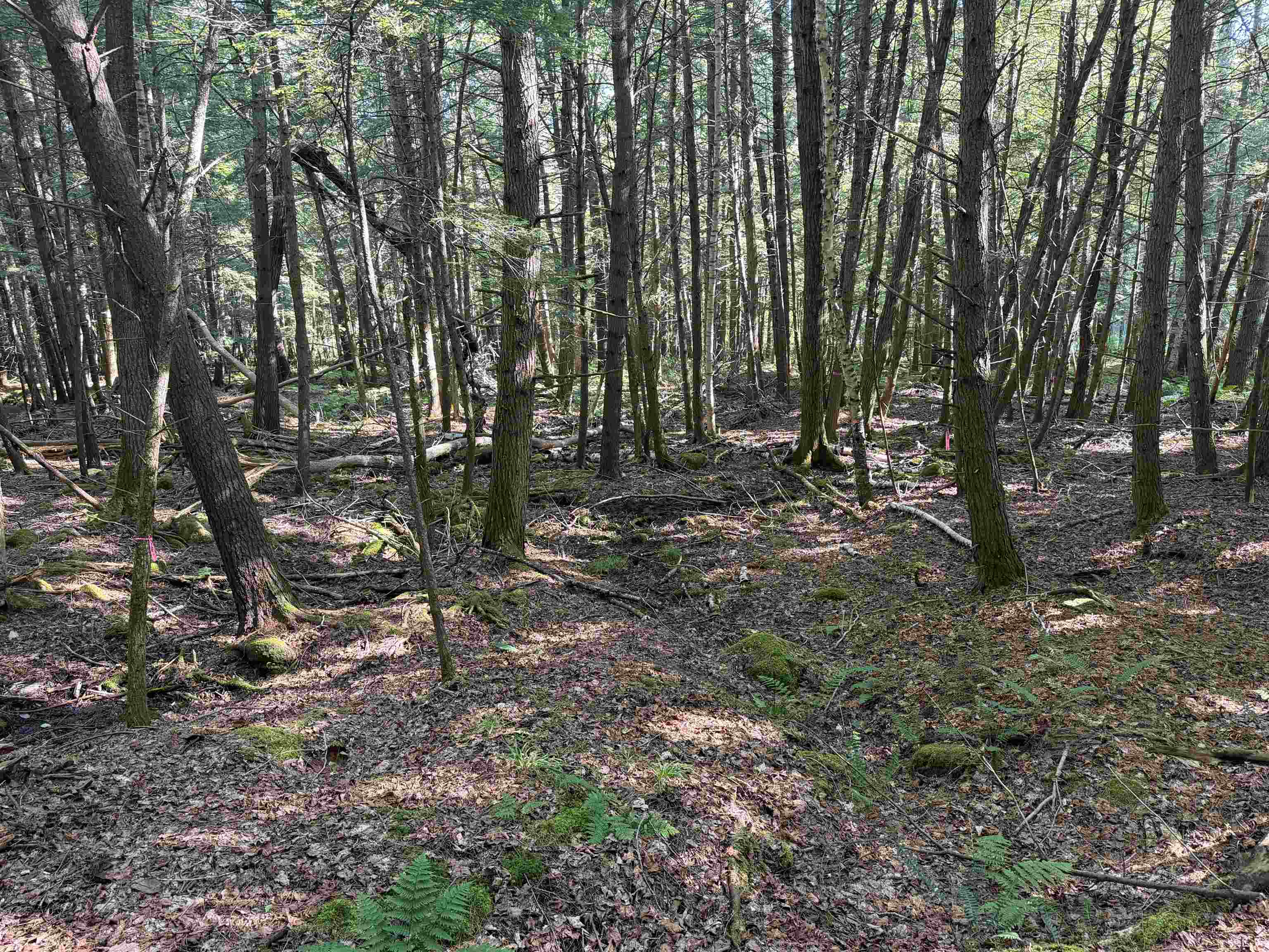 Photo 4 of Land for sale at 0 Storrs Hl Lot#3 Rd, Lebanon, NH 03766 | MLS# 5110642 | Listing updated on 2026-09-19