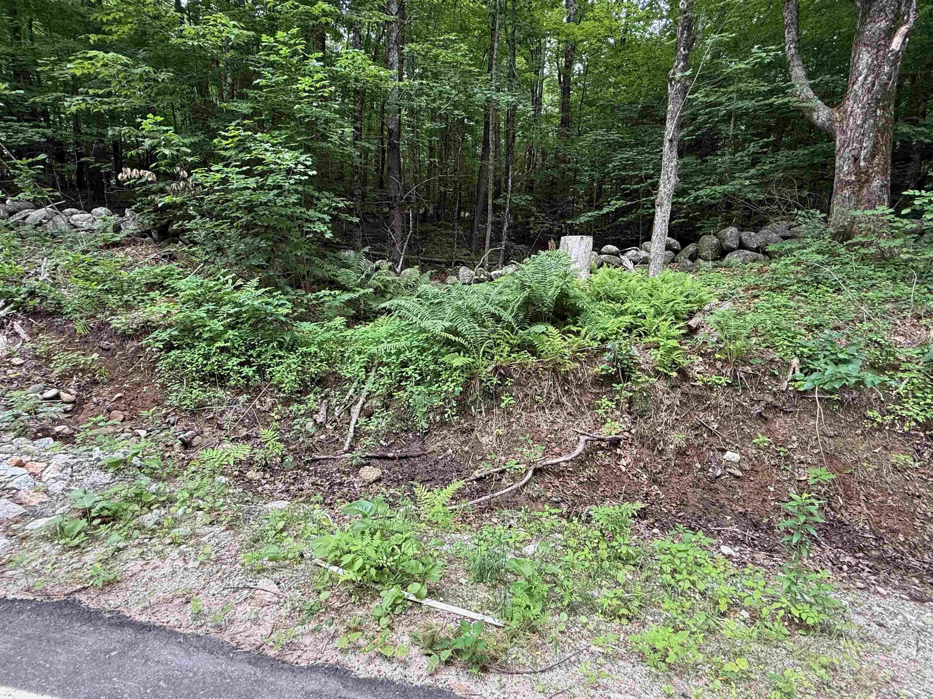 Photo 3 of Land for sale at Lot #8-33-3 Tyler Rd, Webster, NH 03303 | MLS# 5110654 | Listing updated on 2026-09-19