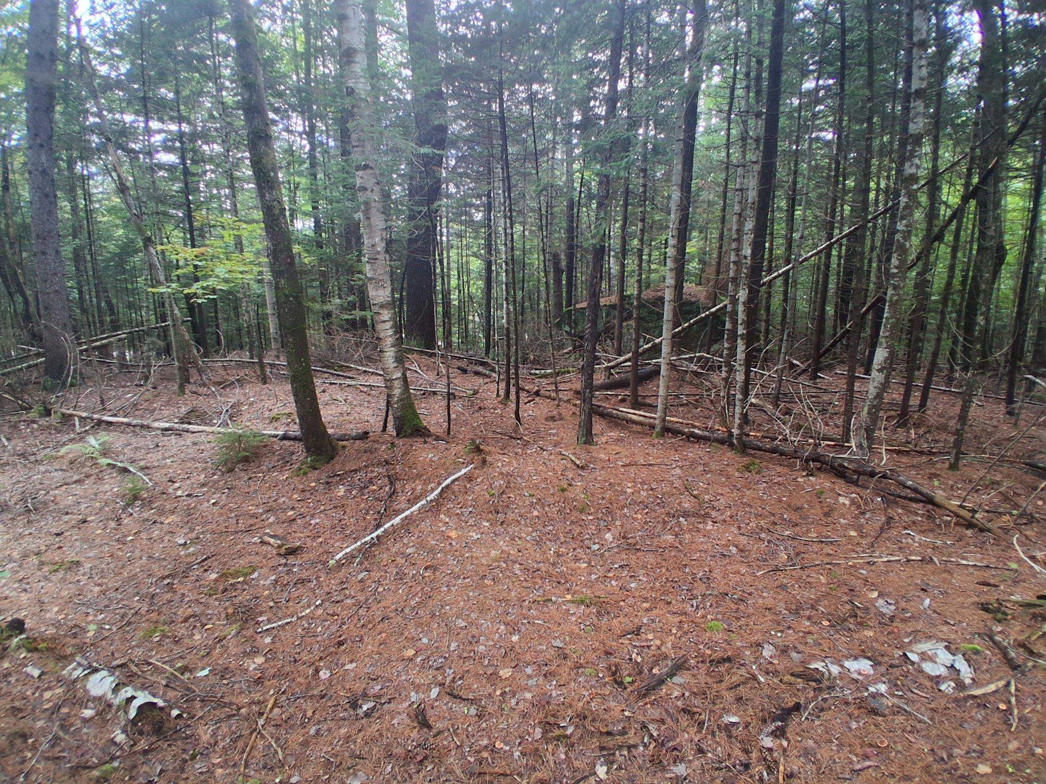 Photo 3 of Land for sale at 14 257 Garfield Rd, Washington, NH 03280 | MLS# 5110659 | Listing updated on 2026-09-30
