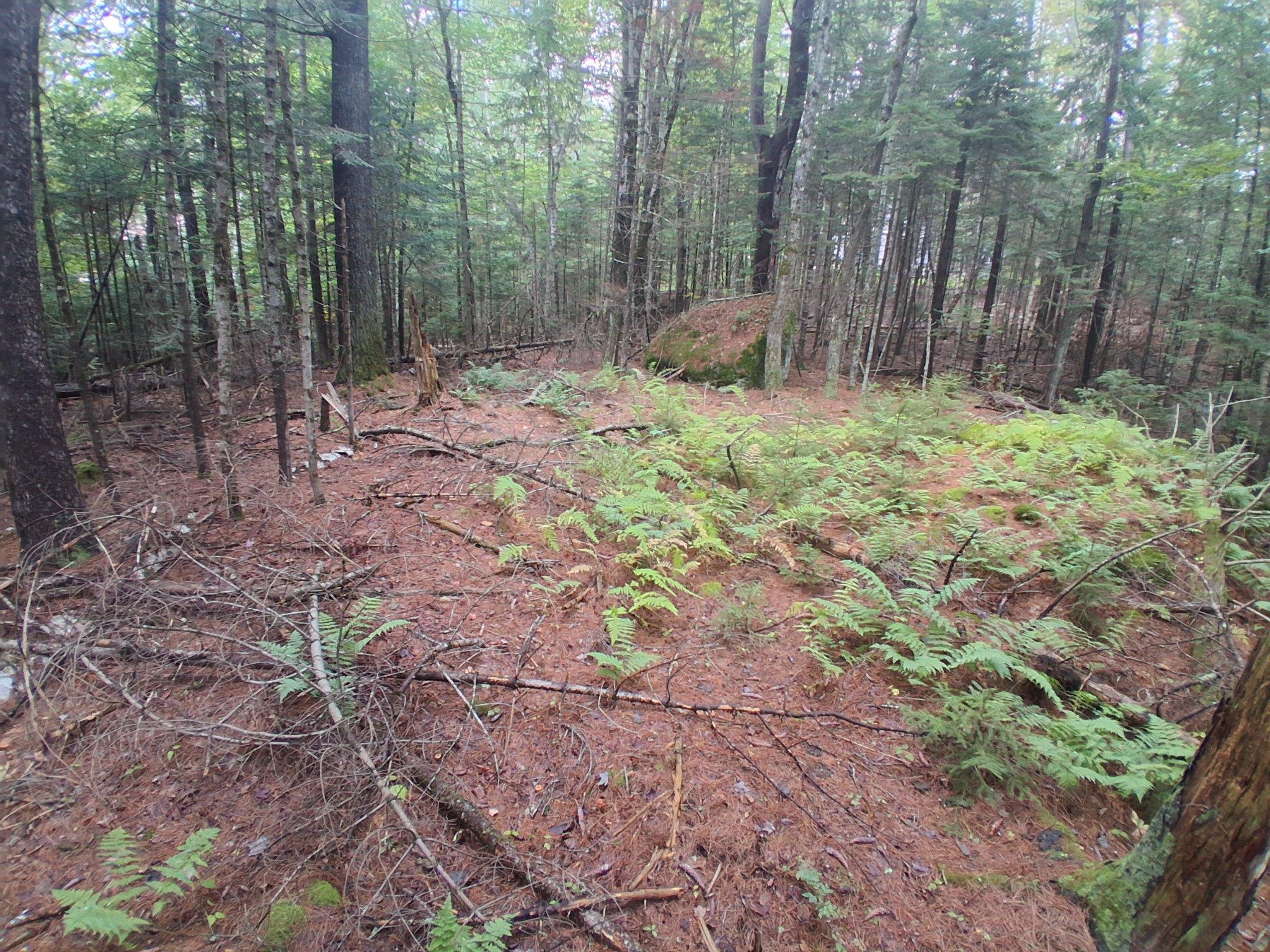 Photo 3 of Land for sale at 14-257 Garfield Rd, Washington, NH 03280 | MLS# 5110659 | Listing updated on 2026-09-30