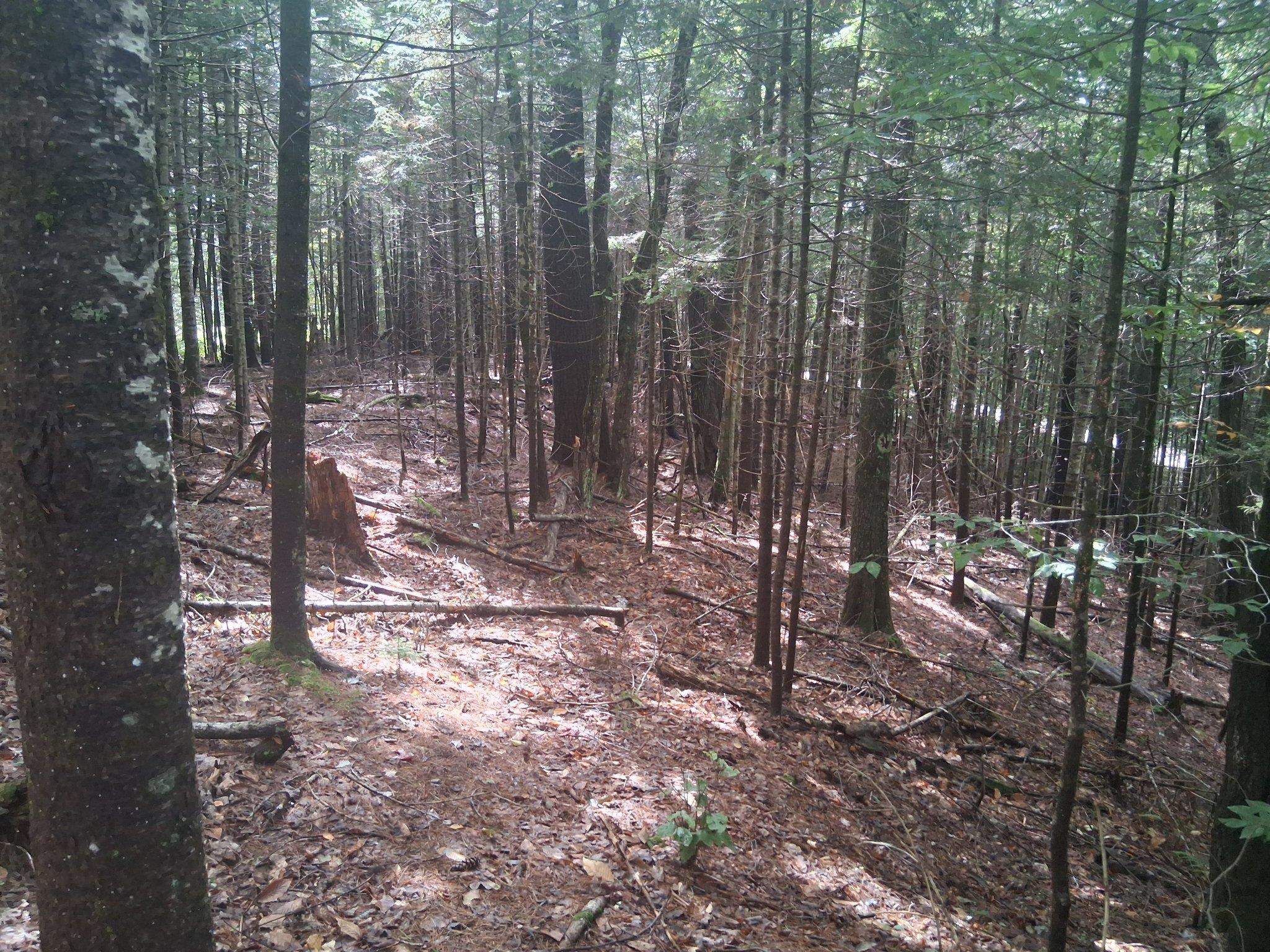 Photo 4 of Land for sale at 14-257 Garfield Rd, Washington, NH 03280 | MLS# 5110659 | Listing updated on 2026-09-30