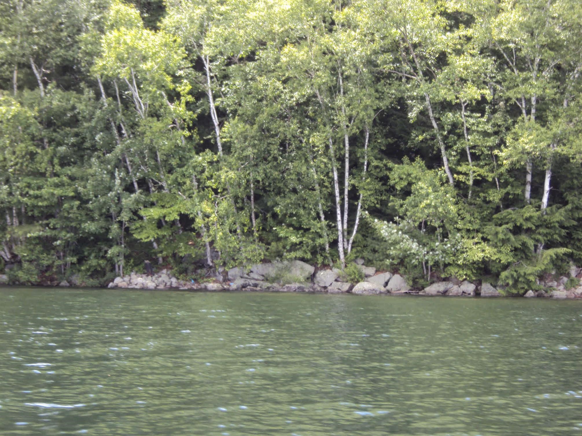 Photo 3 of Land for sale at Lot #20a 333 70 103 Route, Newbury, NH 03255 | MLS# 5110672 | Listing updated on 2026-09-20