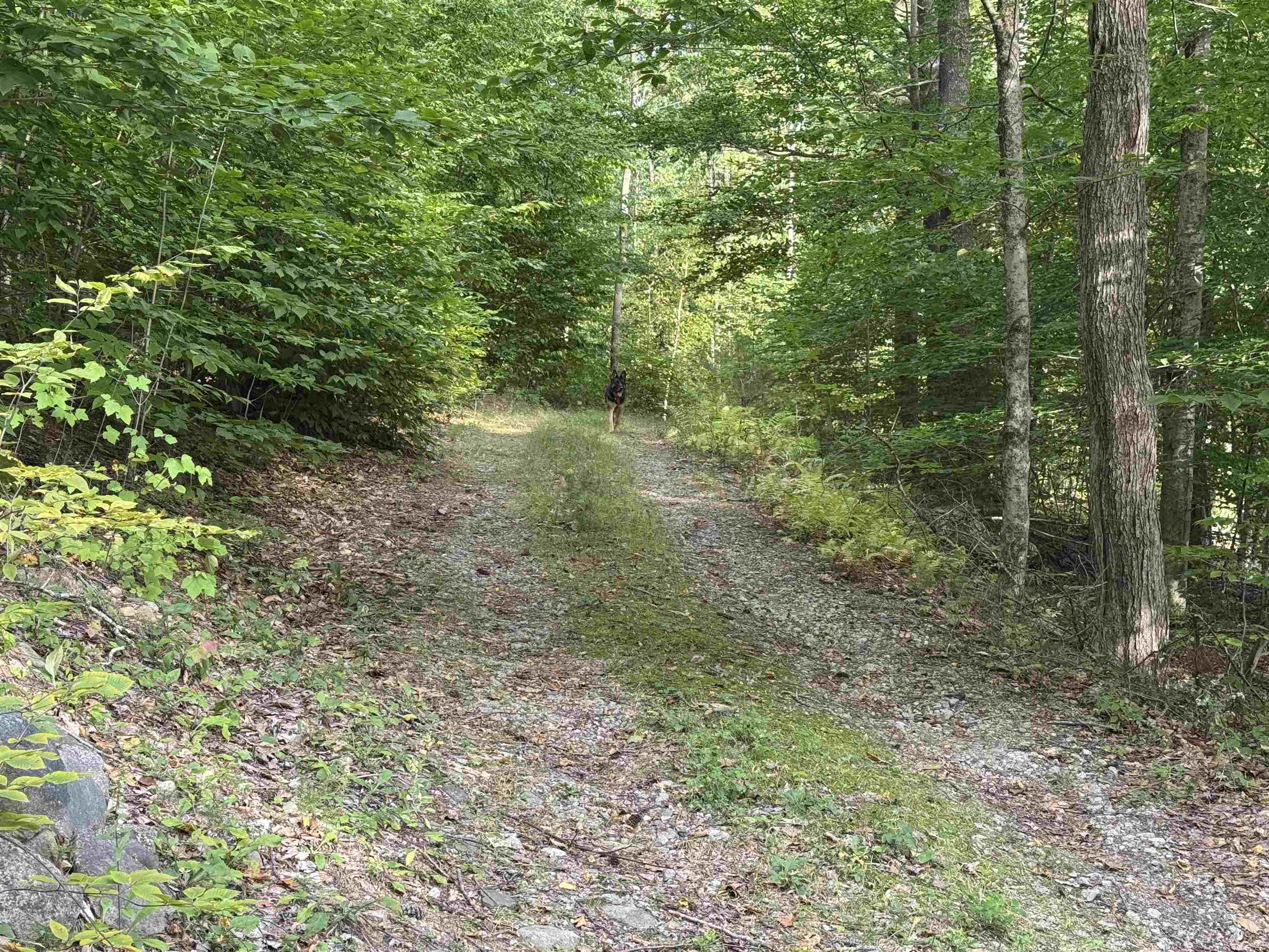 Photo 3 of Land for sale at 26 Circuit Rd, Ossipee, NH 03864 | MLS# 5110683 | Listing updated on 2026-09-21