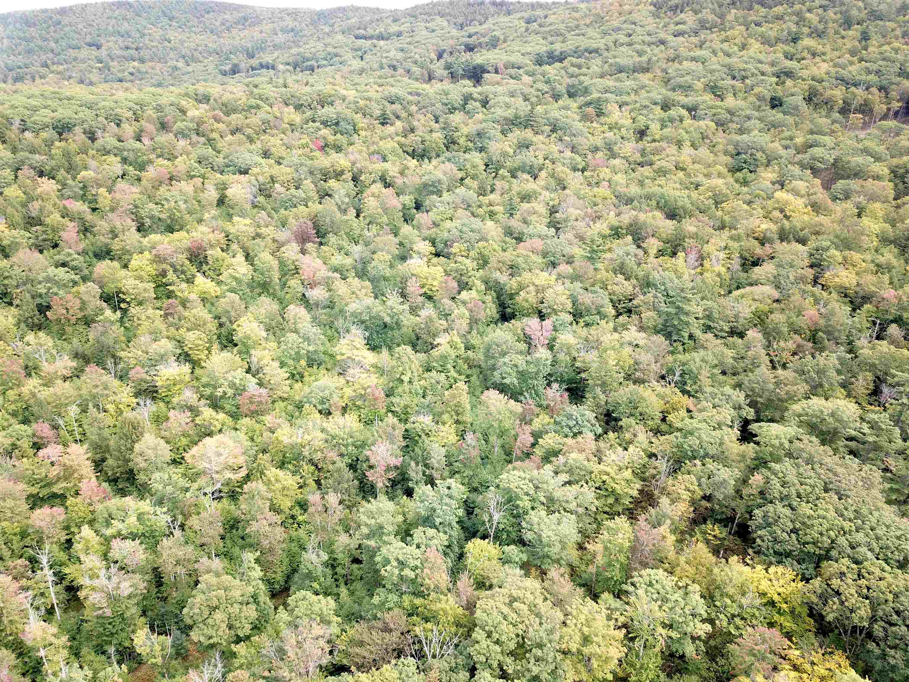 Photo 3 of Sale Pending at 217 Horne, Warner, NH 03278 | MLS# 5110793 | Listing updated on 2026-09-27