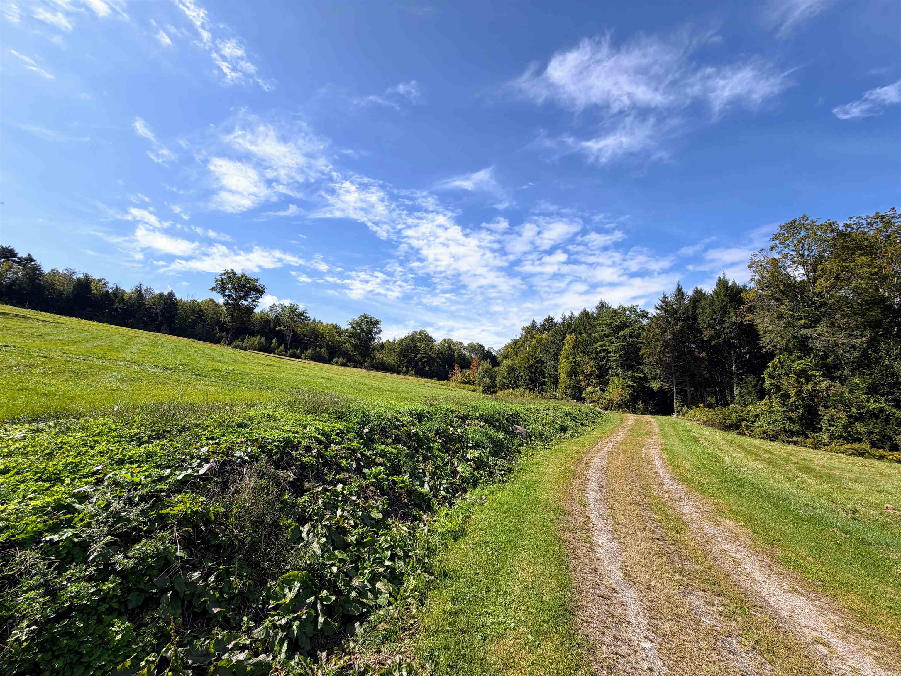 Photo 2 of Land for sale at Griswold Dr, Springfield, VT 05150 | MLS# 5110881 | Listing updated on 2026-09-28