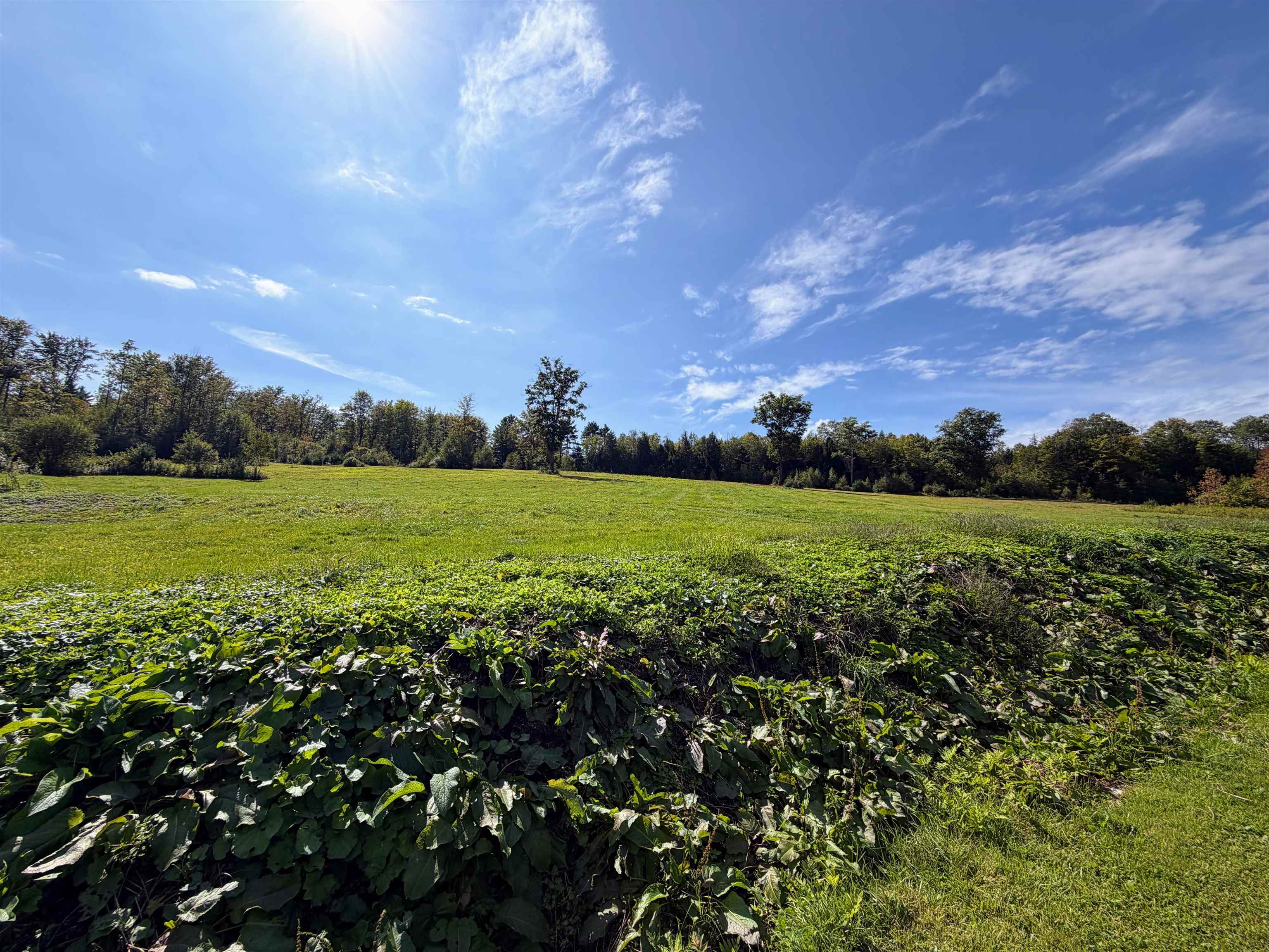 Photo 3 of Land for sale at Griswold Dr, Springfield, VT 05150 | MLS# 5110881 | Listing updated on 2026-09-28