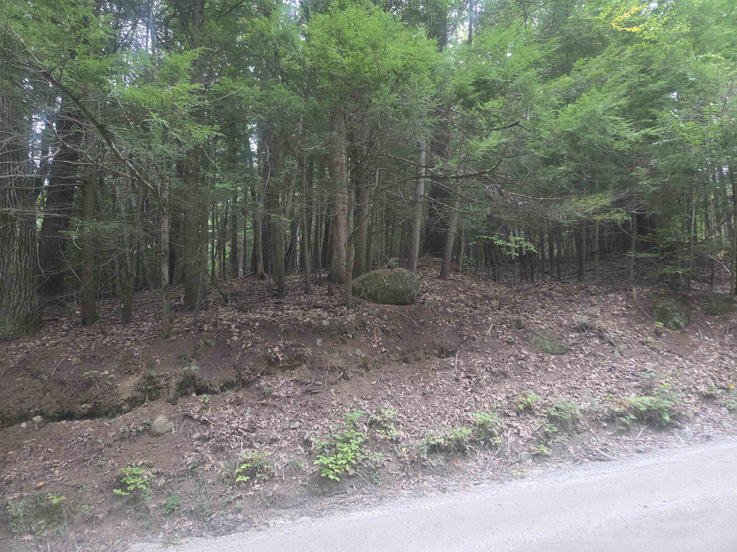 Photo 2 of Land for sale at Map 09 Lot 30 Gould Pond Rd, Hillsborough, NH 03244 | MLS# 5110971 | Listing updated on 2026-09-22