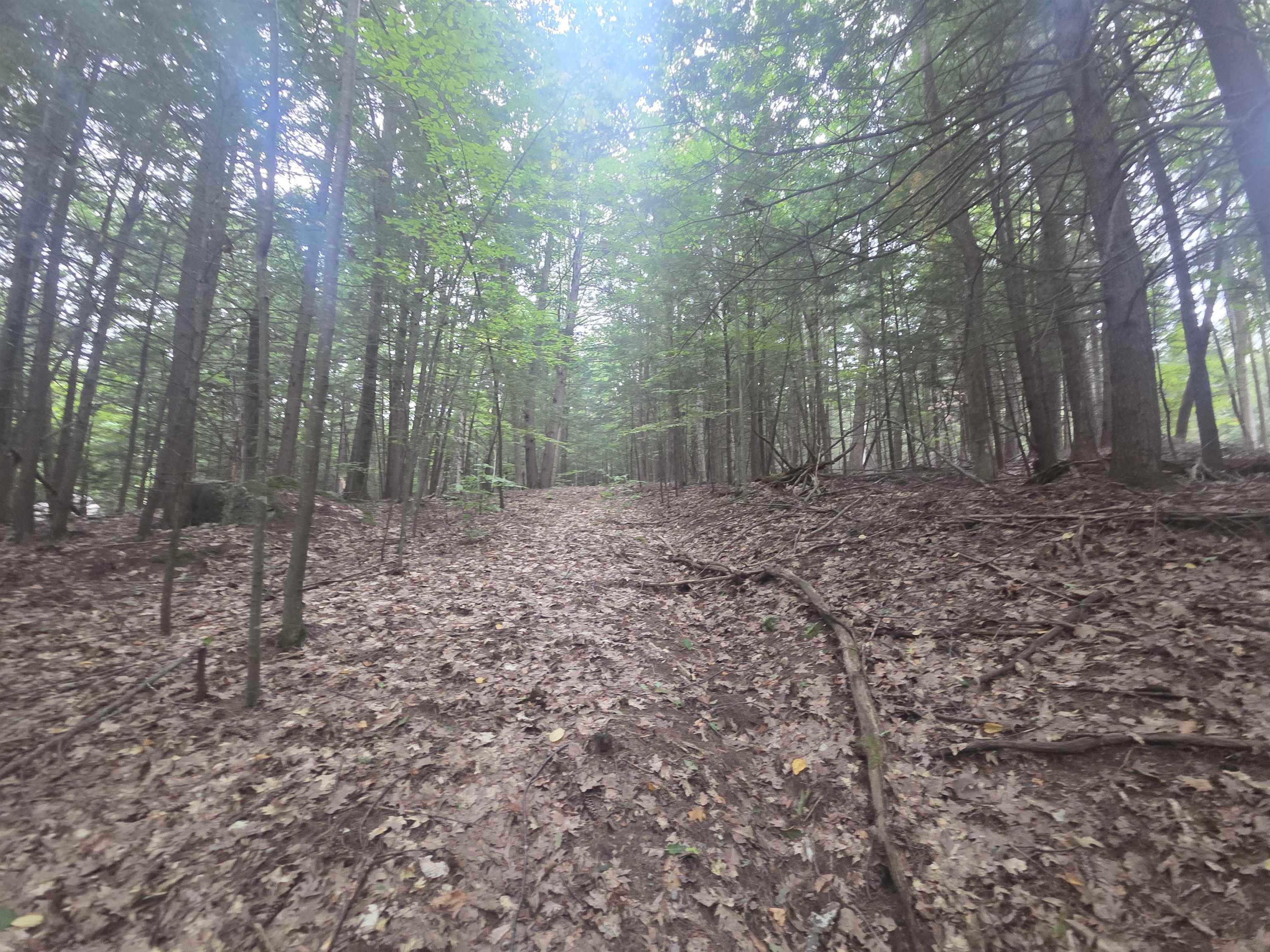 Photo 3 of Land for sale at Map 09 Lot 30 Gould Pond Rd, Hillsborough, NH 03244 | MLS# 5110971 | Listing updated on 2026-09-22