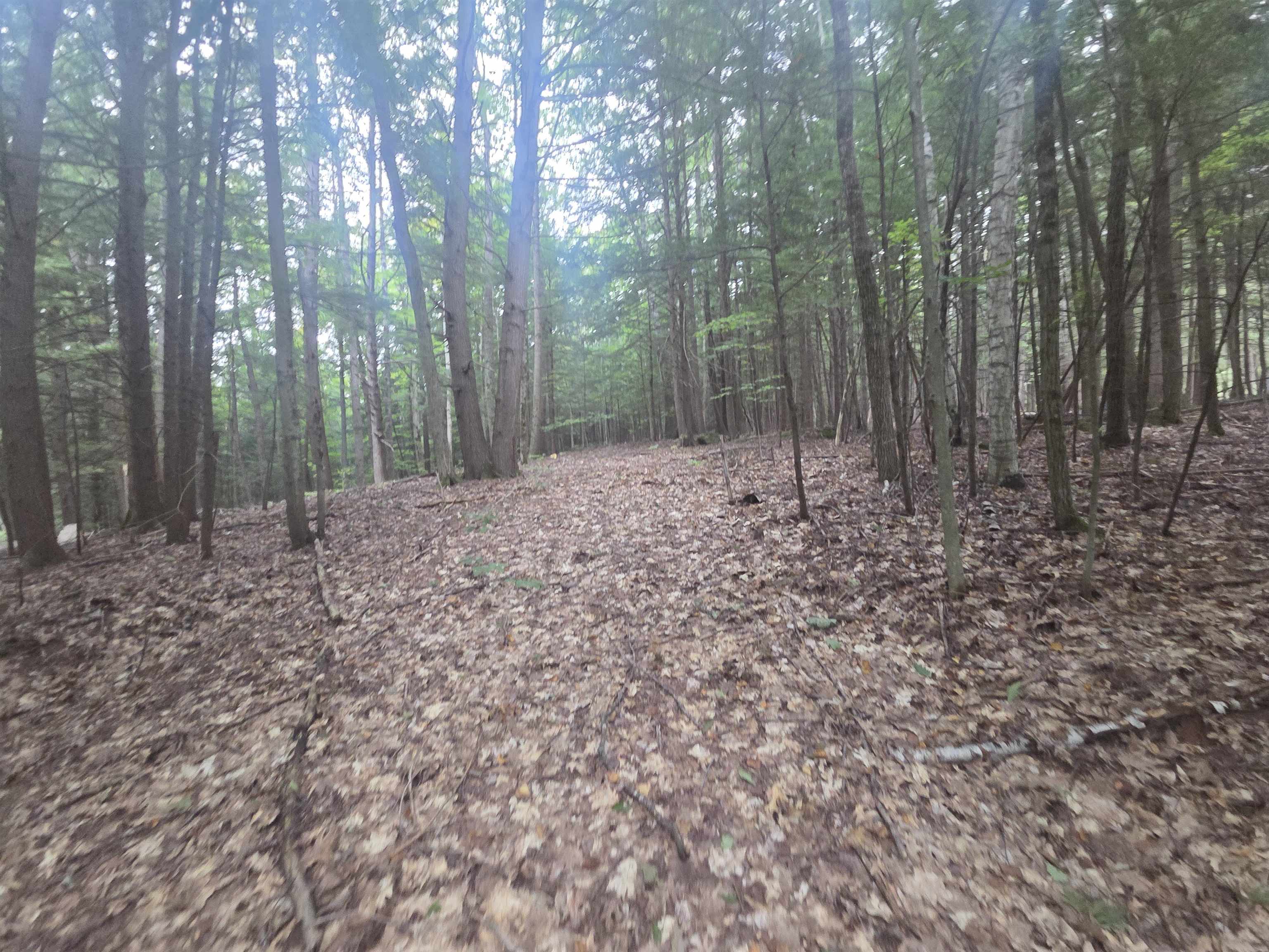 Photo 4 of Land for sale at Map 09 Lot 30 Gould Pond Rd, Hillsborough, NH 03244 | MLS# 5110971 | Listing updated on 2026-09-22