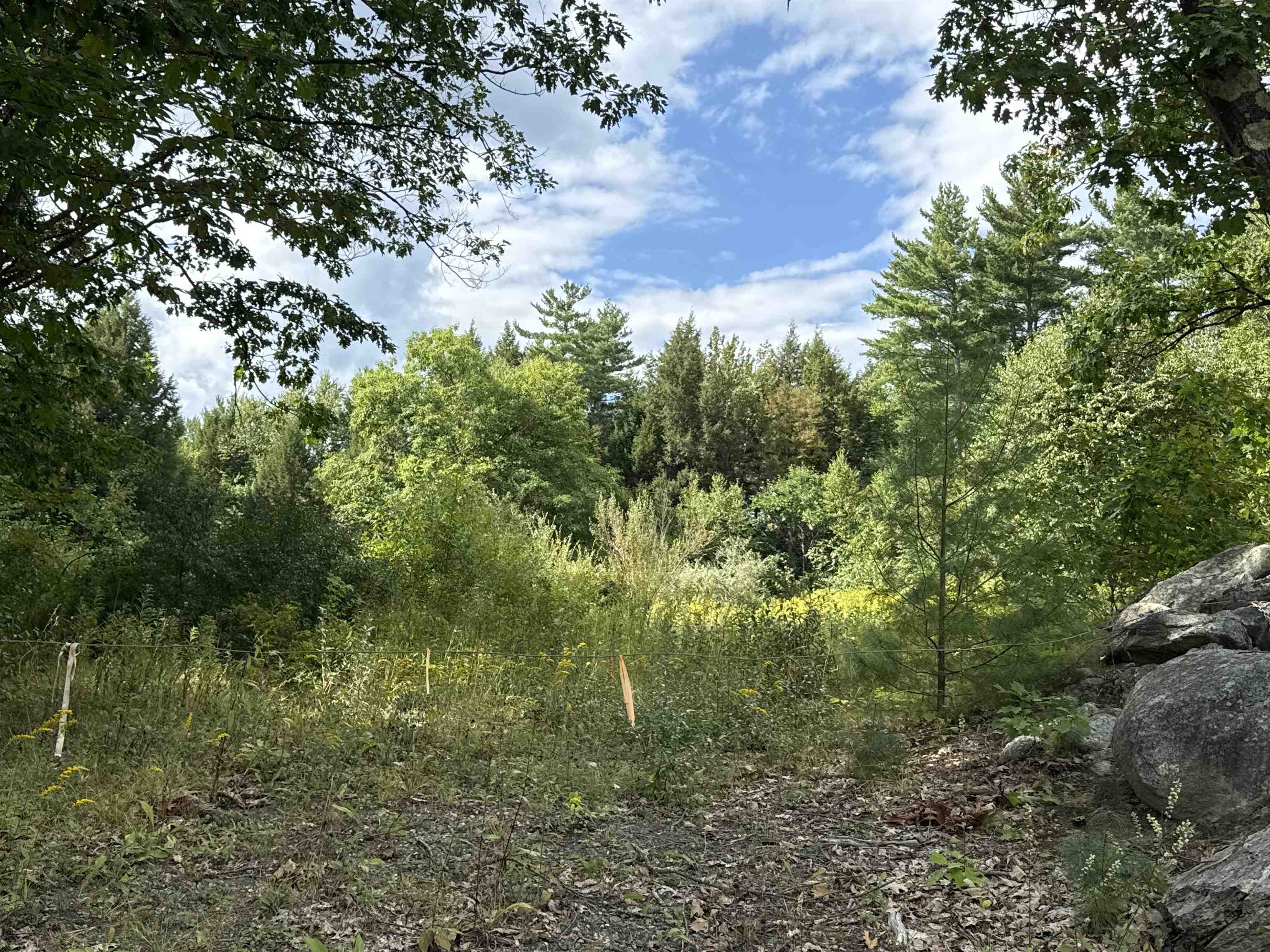 Photo 3 of Land for sale at 1475 Brockways Ml Rd, Rockingham, VT 05143 | MLS# 5110994 | Listing updated on 2026-09-22