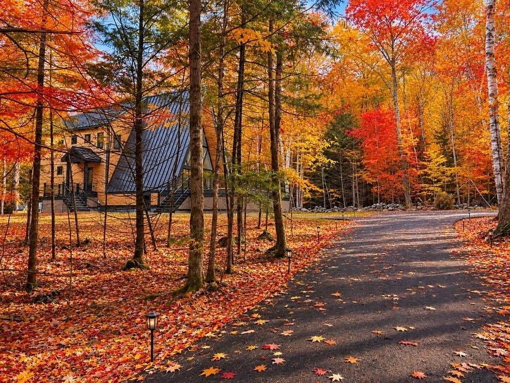Photo 3 of Single family home for sale at 94 Cindy's Ln, Campton, NH 03223 | MLS# 5111150 | Listing updated on 2026-10-07