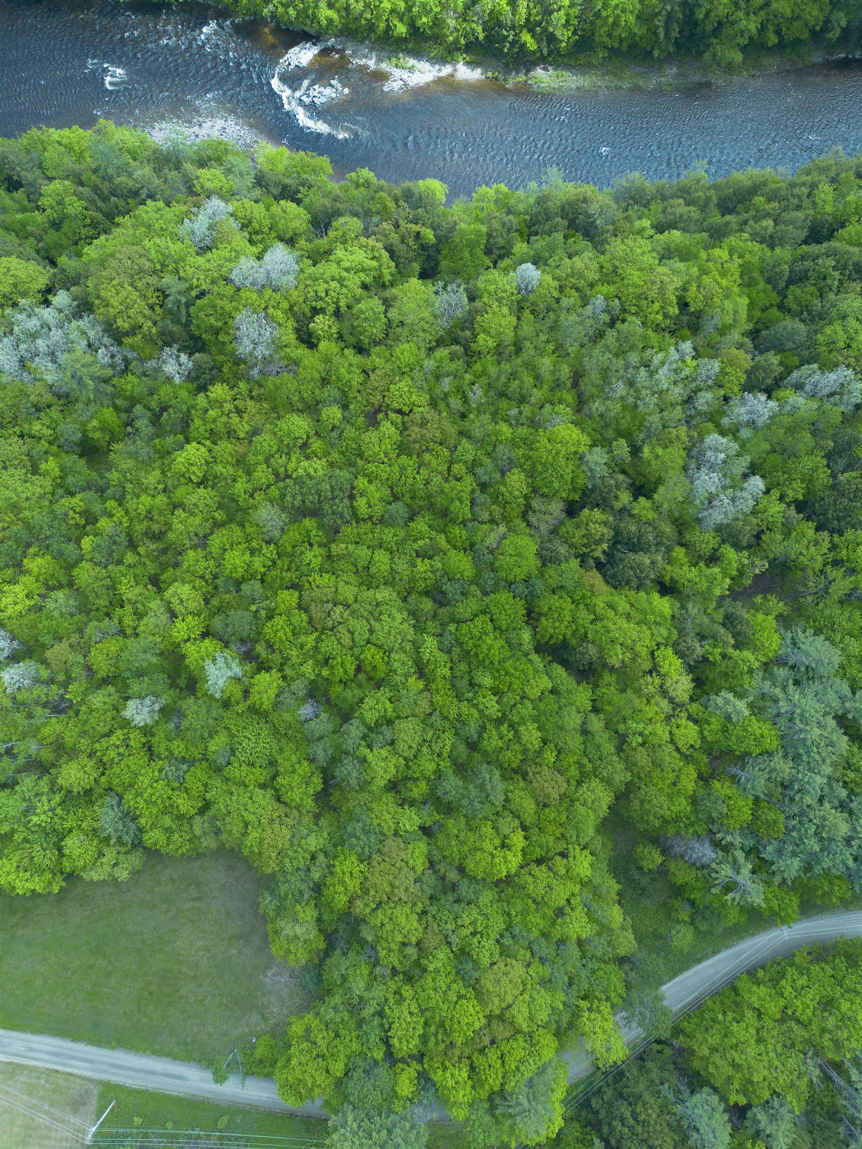 Map 17 Lot 31 River Road, Bath, NH photo 5