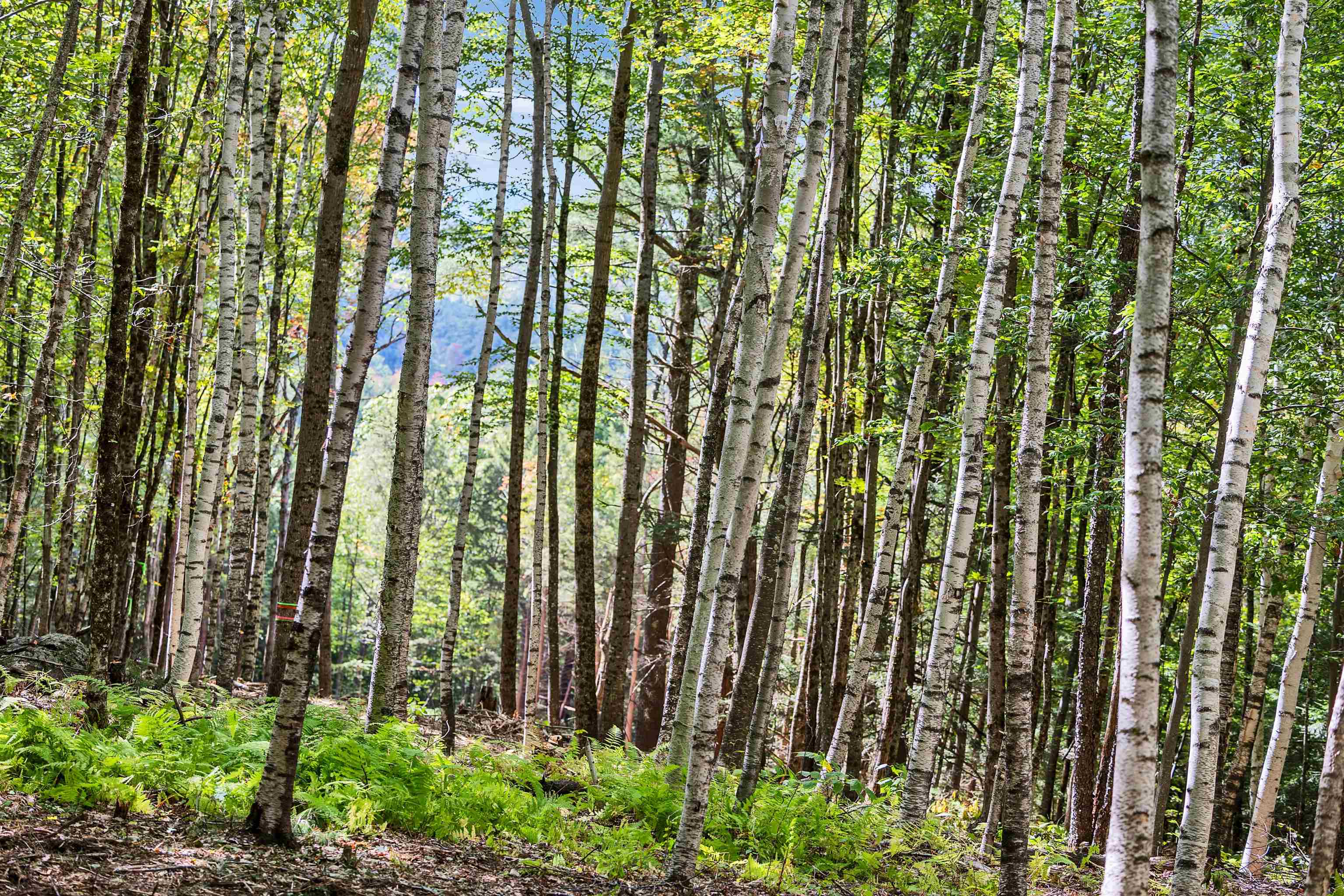 00 Coach Road, Greenfield, NH photo 4
