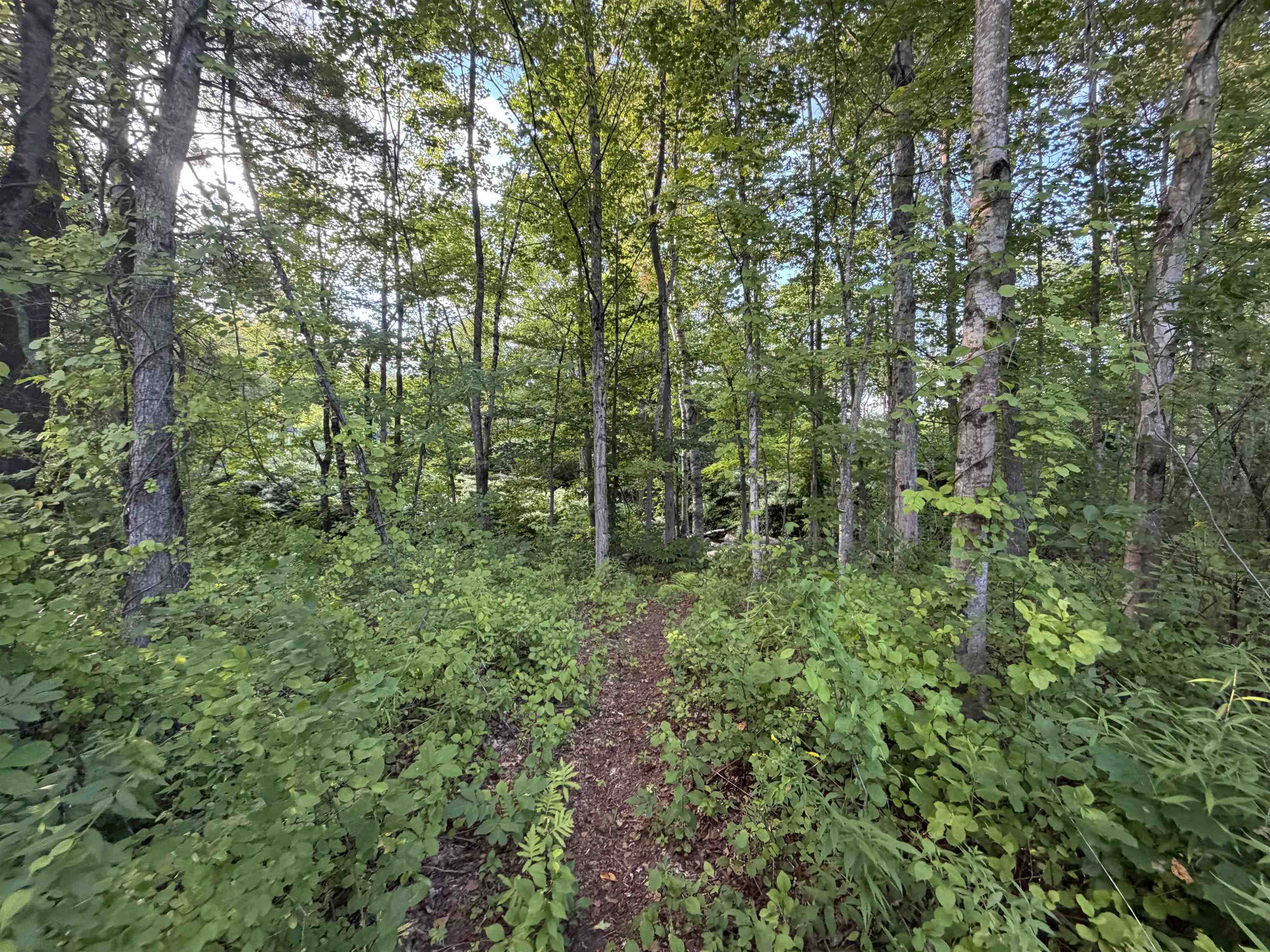 0 Route 120, Cornish, NH photo 4