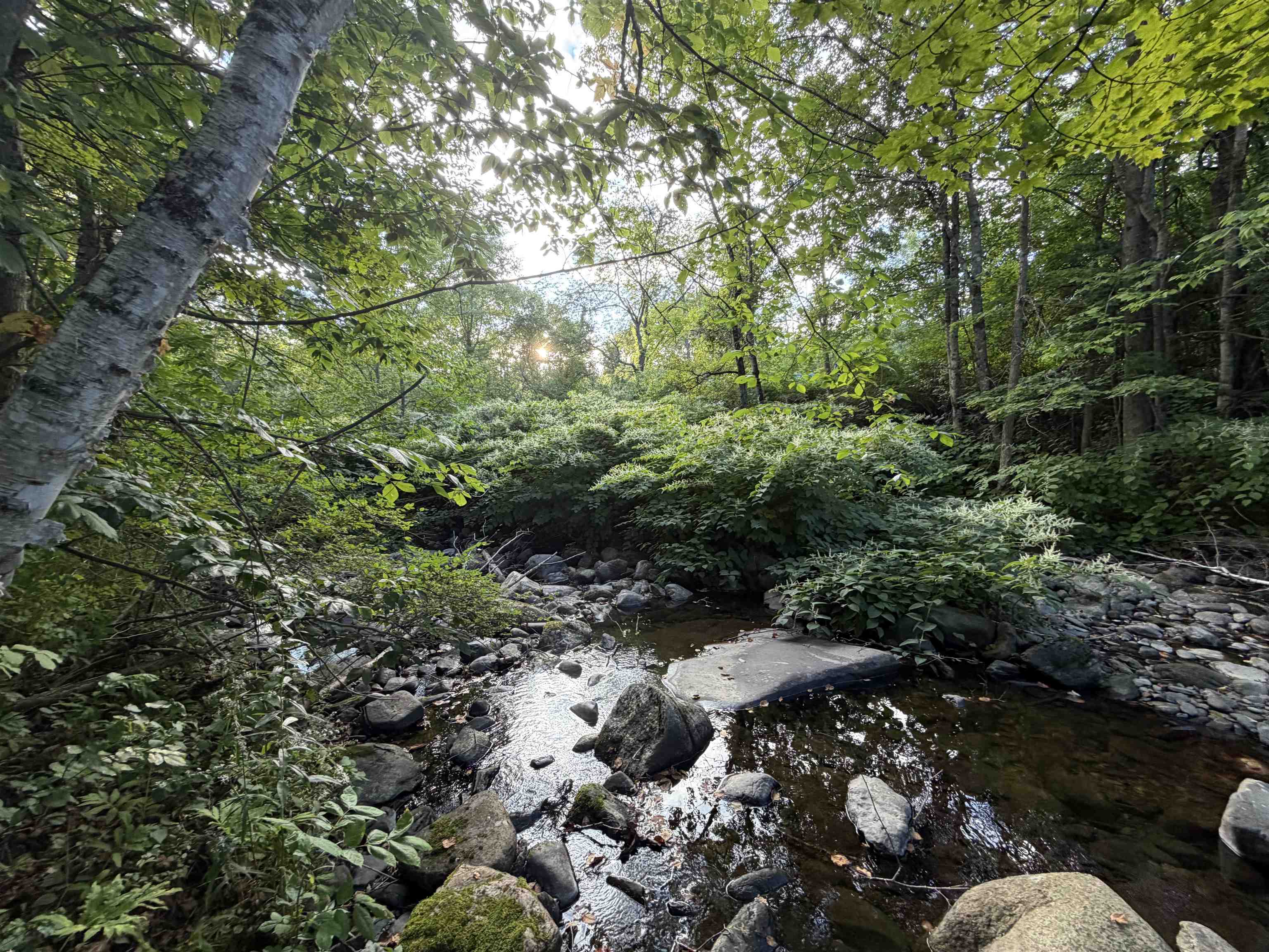 0 Route 120, Cornish, NH photo 5