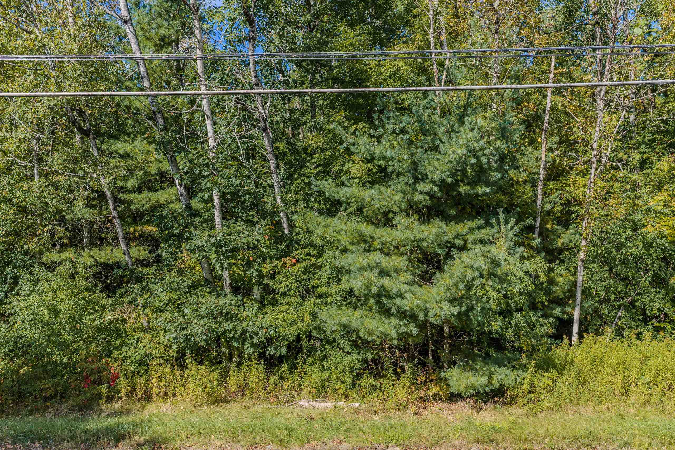 Photo 39 of Land for sale at Mt Eustis Rd, Lisbon, NH 03585 | MLS# 5111352 | Listing updated on 2026-09-29