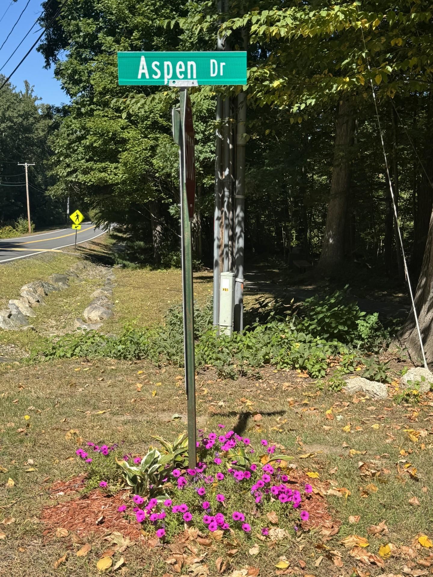 Photo 5 of 32