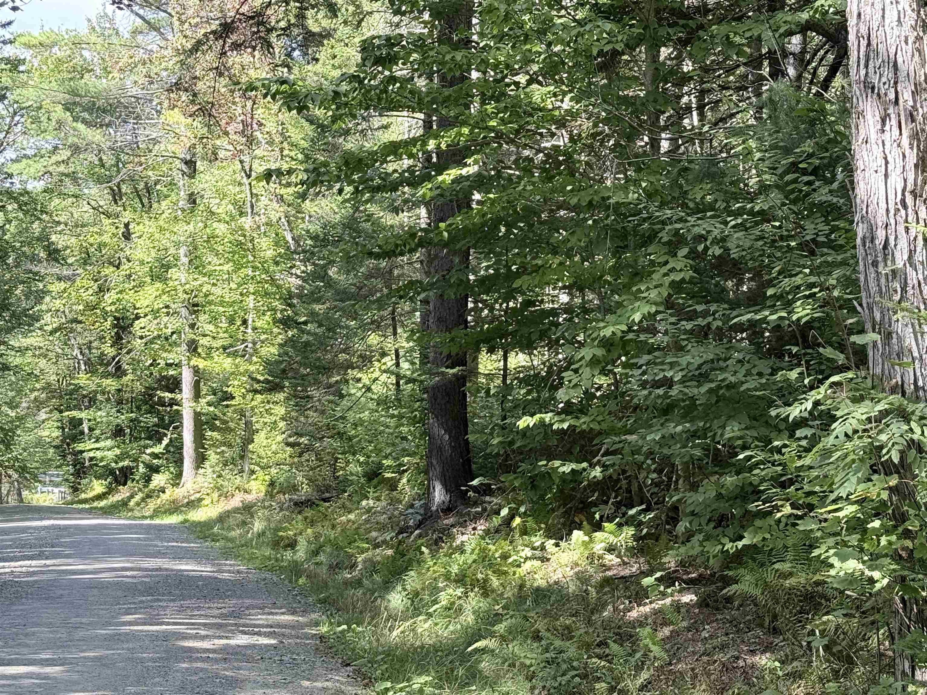 Photo 2 of Land for sale at 0 Cross Rd, West Townshend, VT 05359 | MLS# 5111403 | Listing updated on 2026-09-25